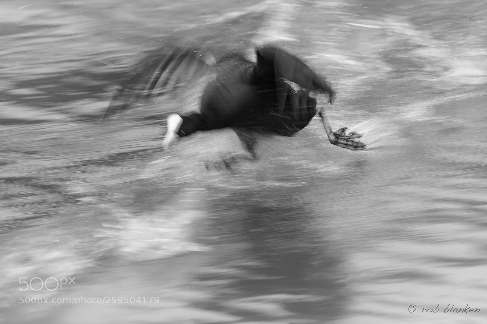 Nikon D850 sample photo. Coot foot photography