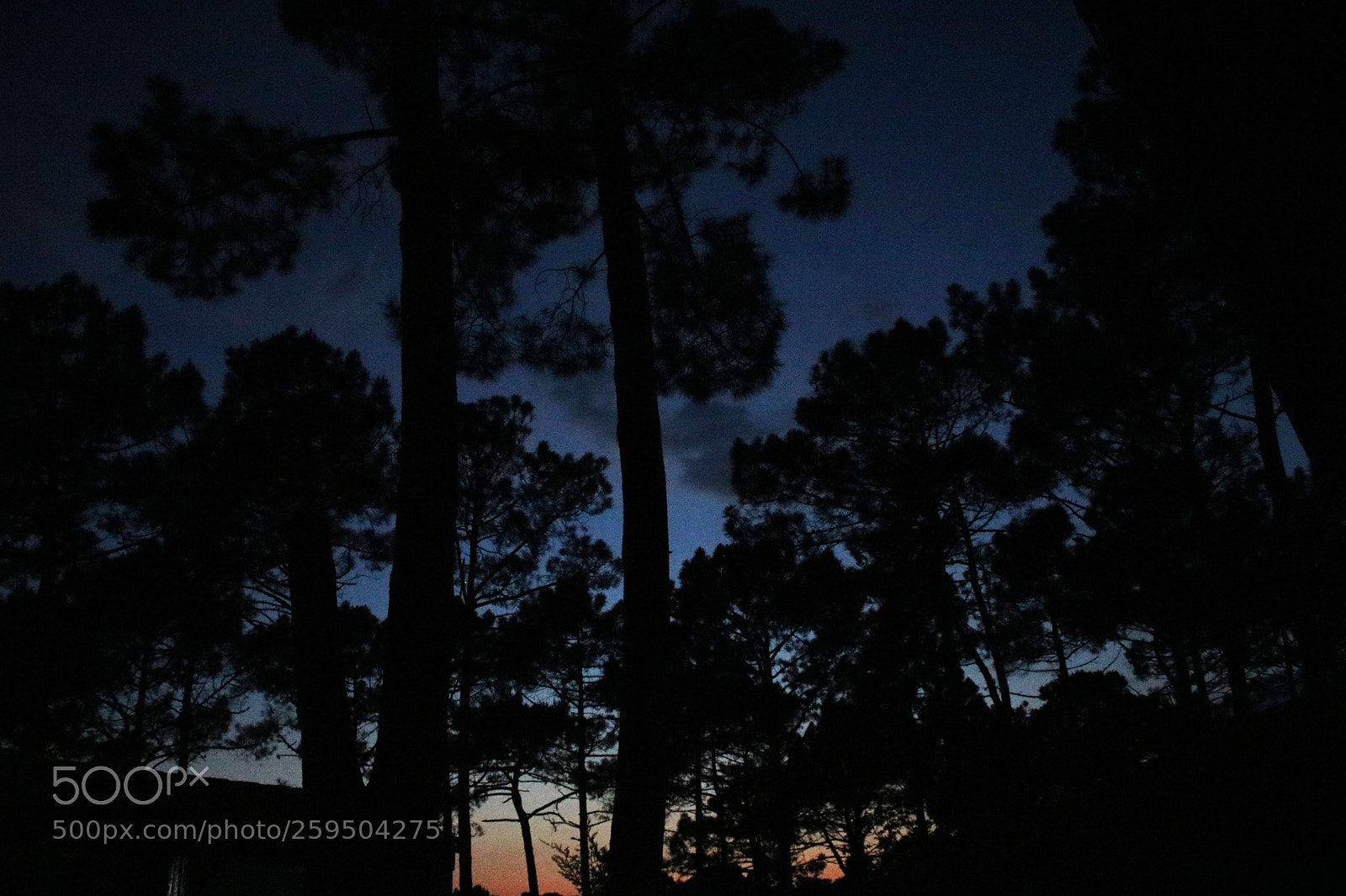 Canon EOS 750D (EOS Rebel T6i / EOS Kiss X8i) sample photo. Untitled photography