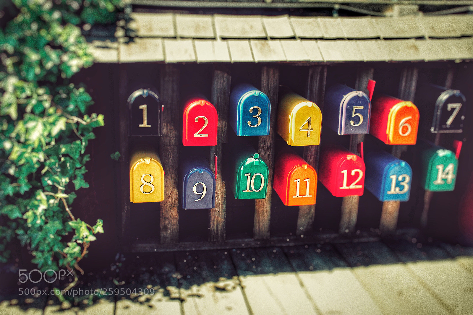 Canon EOS 60D sample photo. Colorful  photography