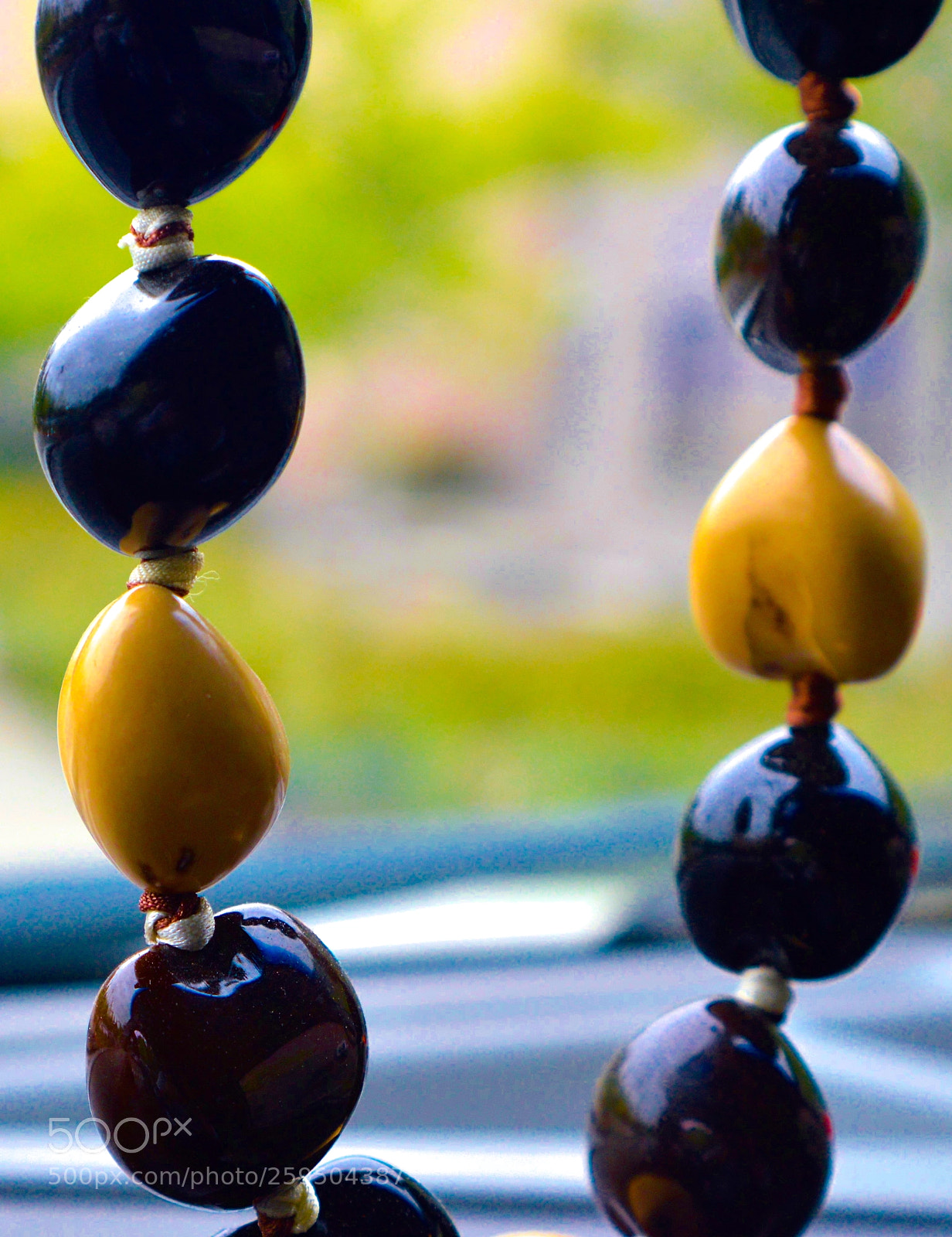 Nikon D3200 sample photo. Kukui nuts photography