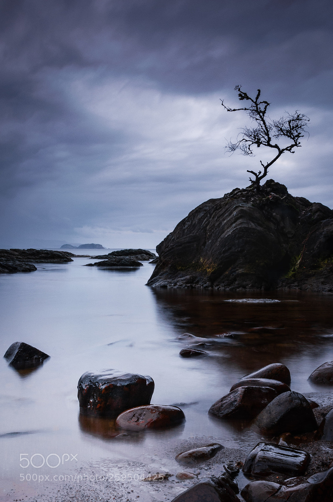 Nikon D300 sample photo. Lonely and cold... photography