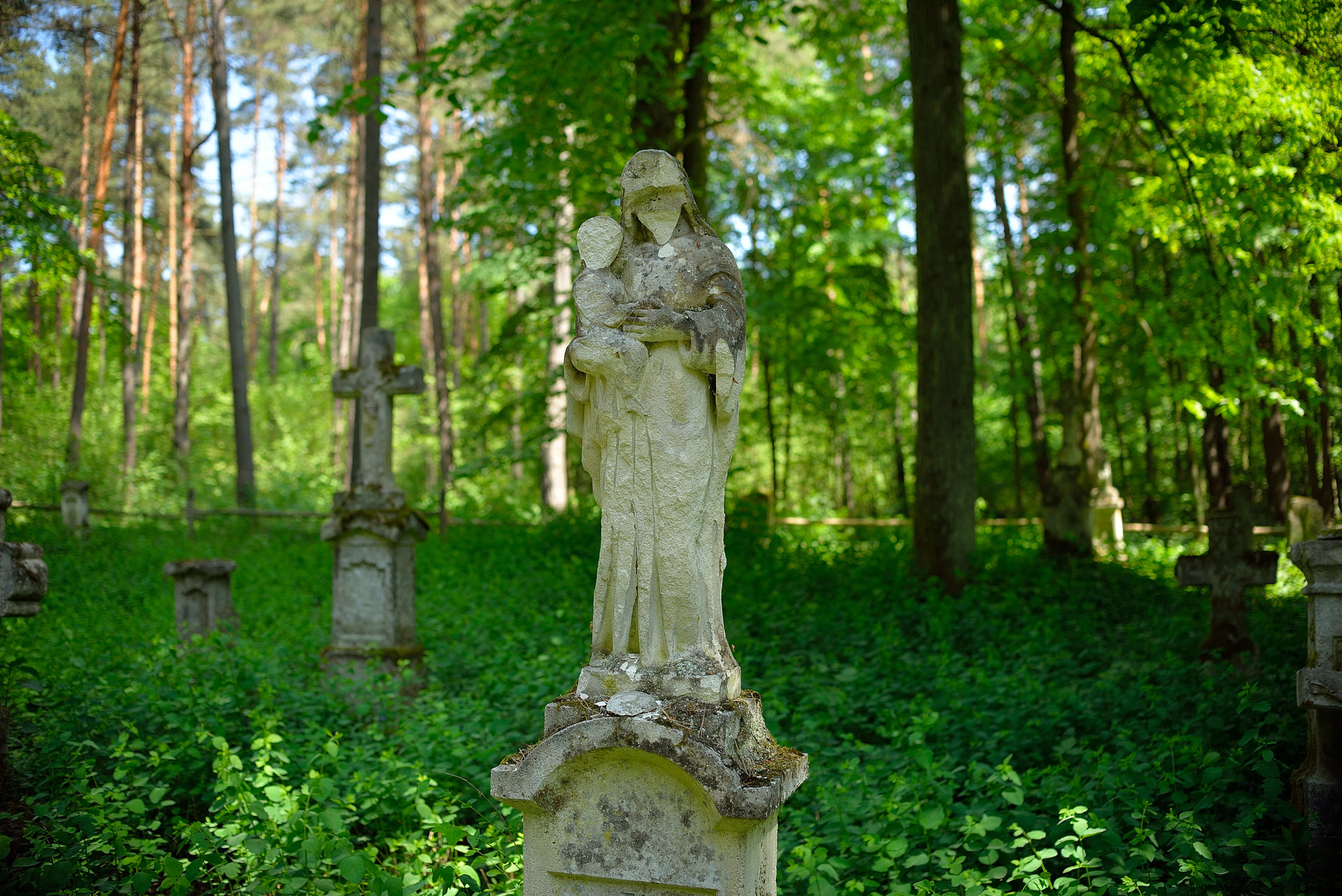 Nikon D610 + Nikon AF-S DX Nikkor 35mm F1.8G sample photo. A forgotten magic cemetery in old brusno. photography