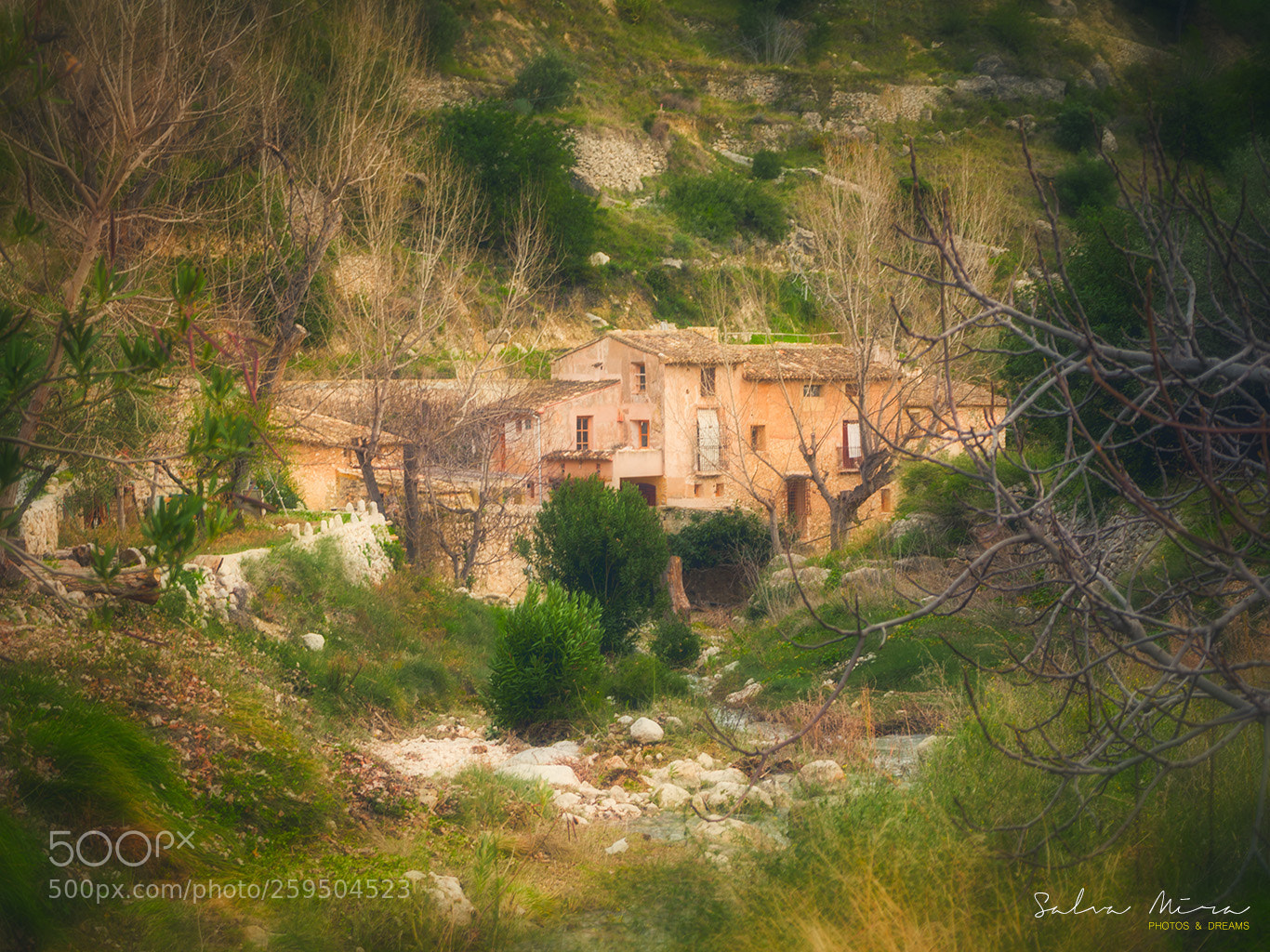 Sony a7 II sample photo. El molí d'amable photography