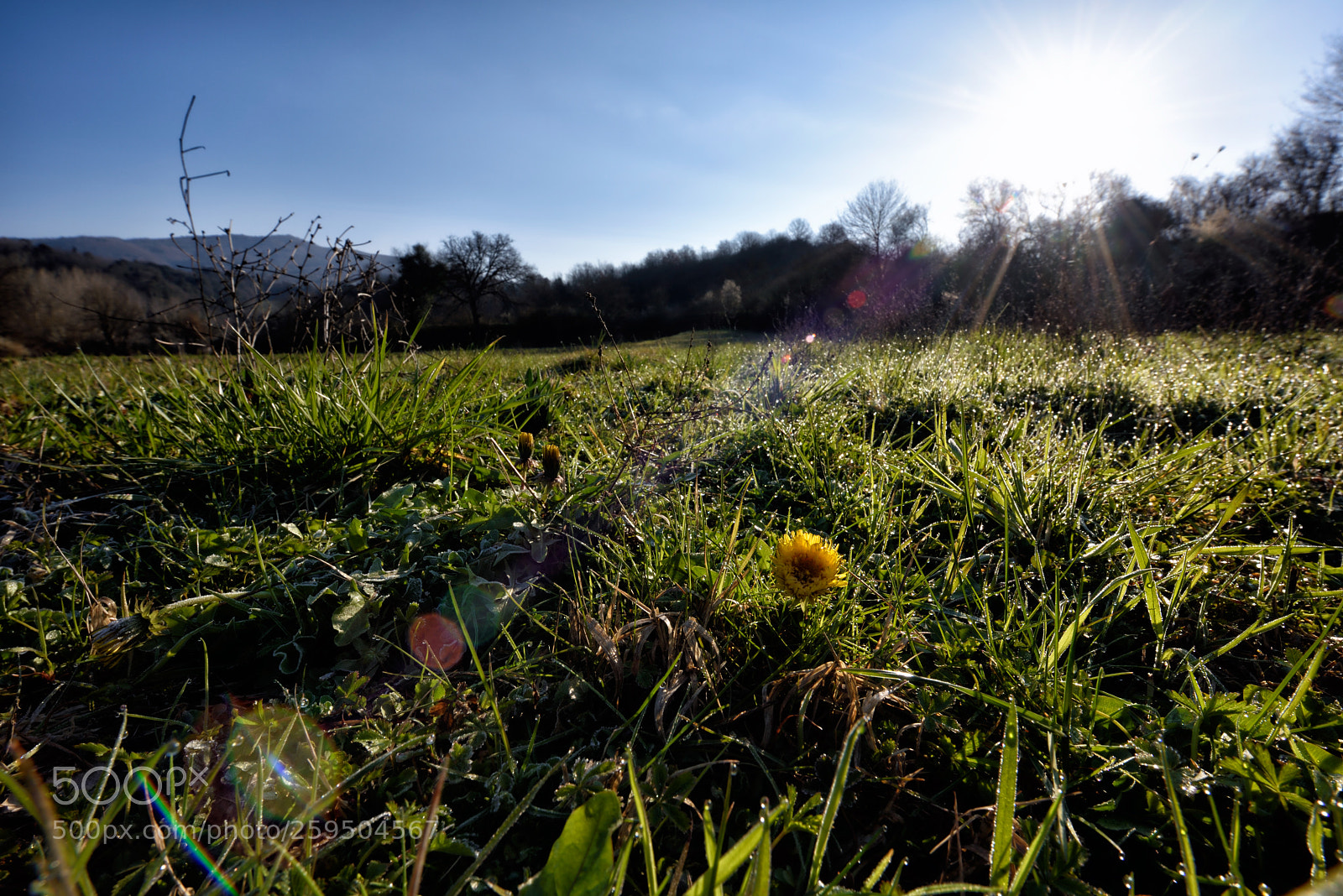 Nikon D810 sample photo. In sky and earth photography