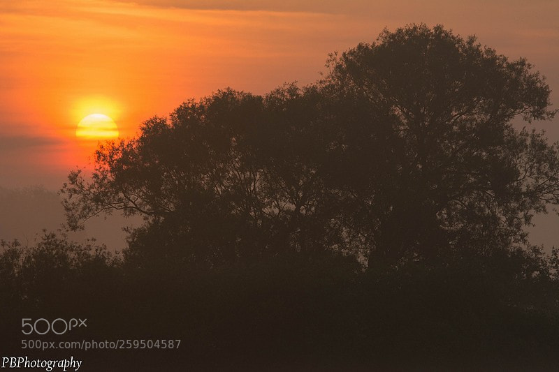 Nikon D7100 sample photo. Sunrise photography