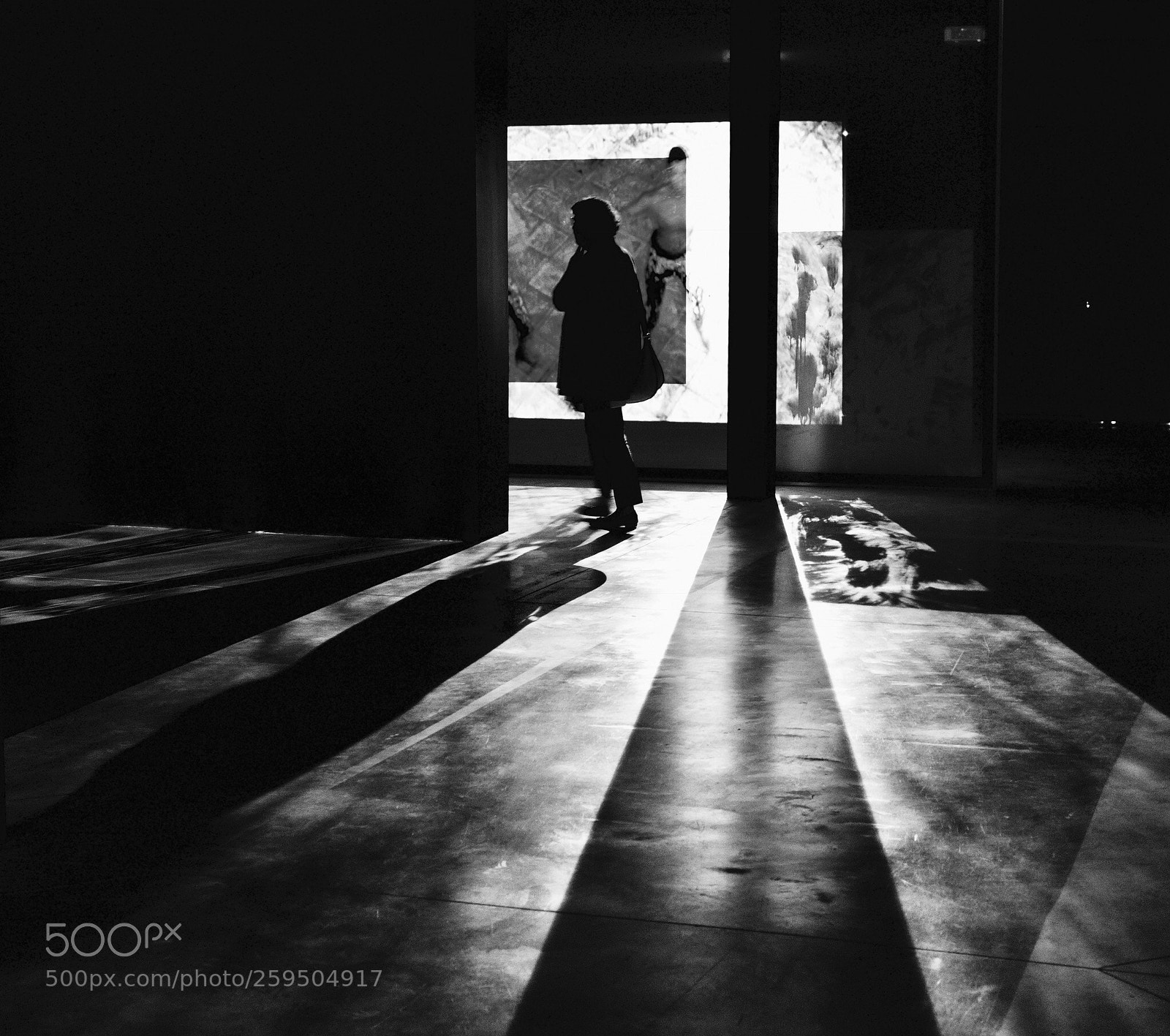 Nikon D750 sample photo. Shadows and lights  photography