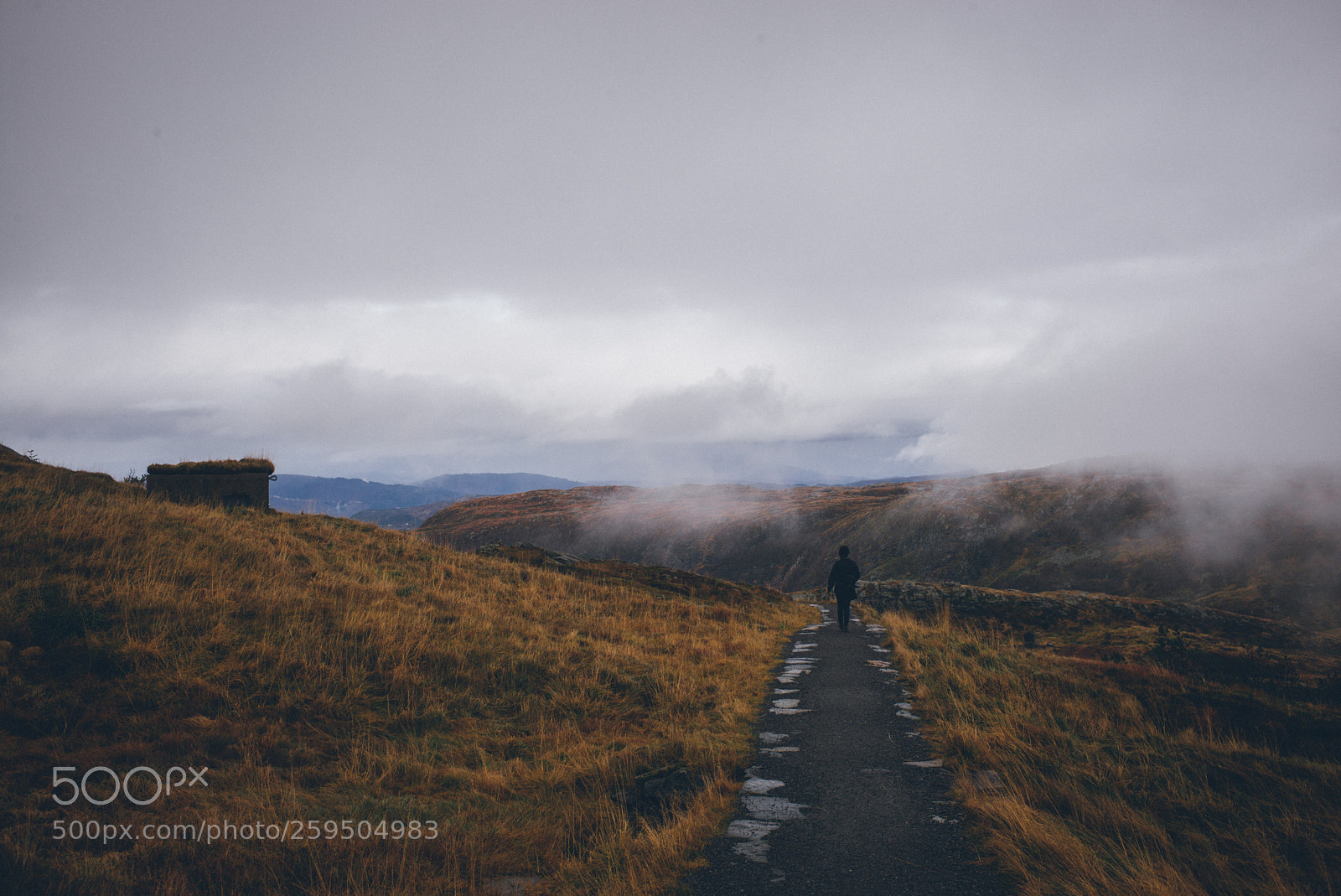 Leica M (Typ 240) sample photo. Misty hike photography
