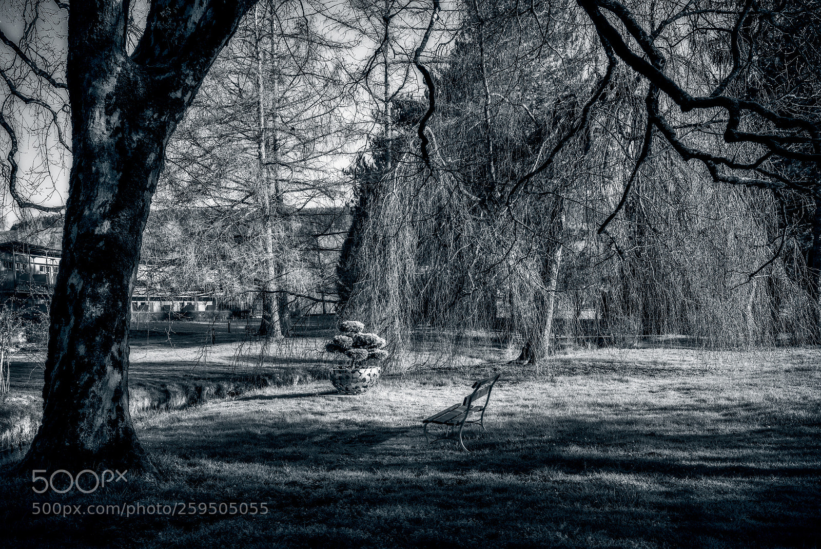 Leica M (Typ 240) sample photo. Manor park photography