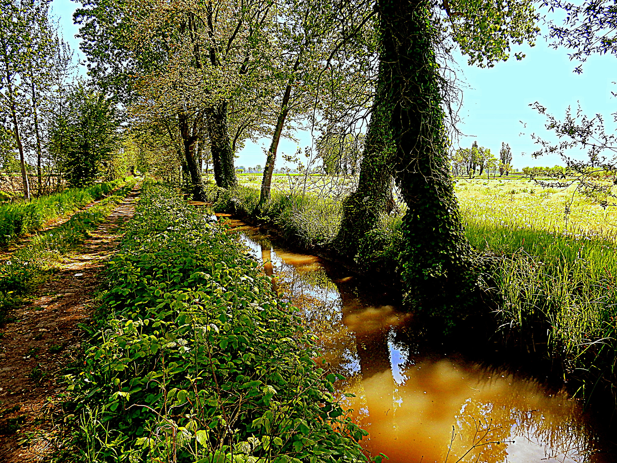 Nikon Coolpix S9700 sample photo. Ombre, luci e riflessi sul paesaggio naturale. photography