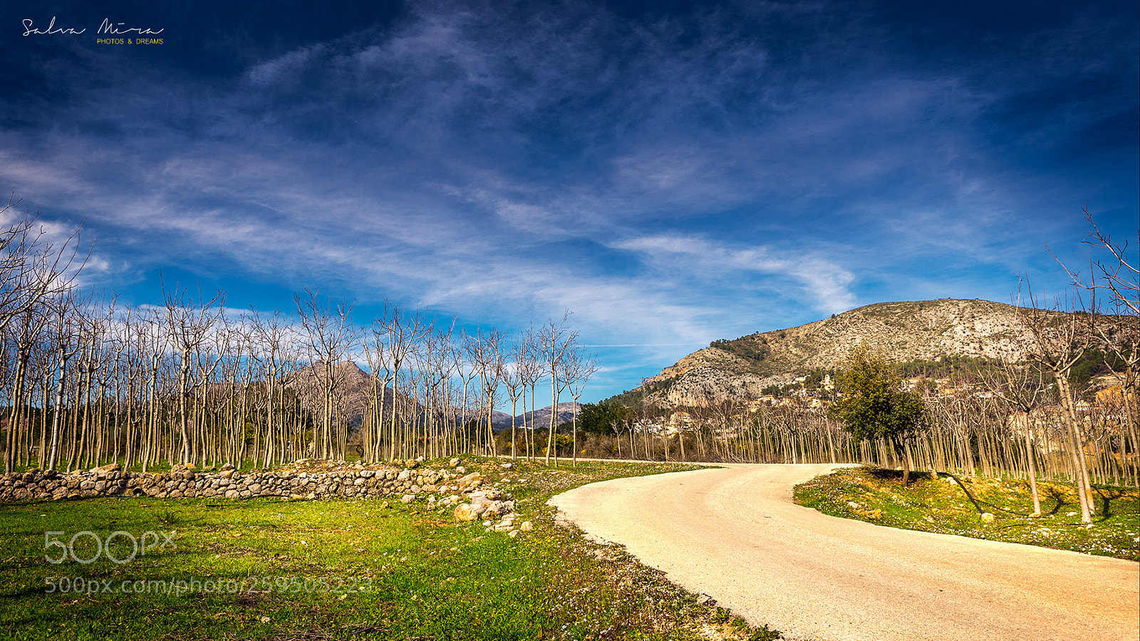 Sony a7 II sample photo. Camins i colors de photography