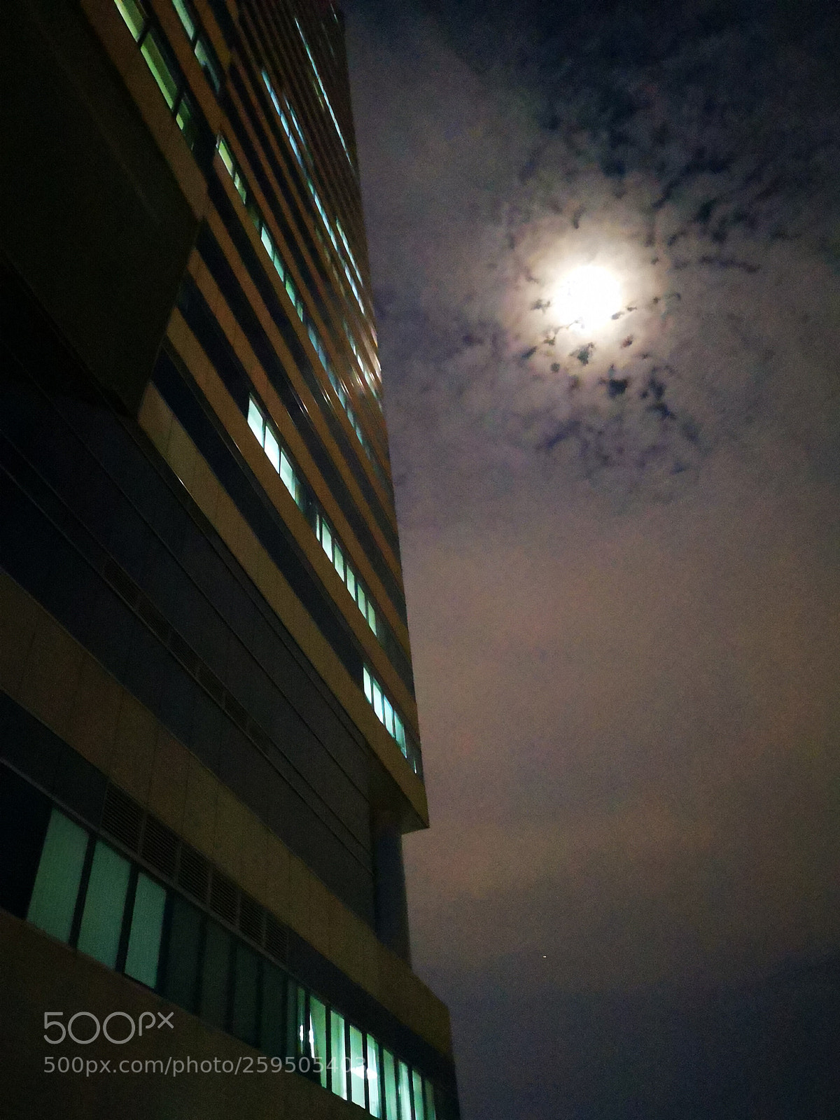 HUAWEI CLT-L29 sample photo. Untitled photography