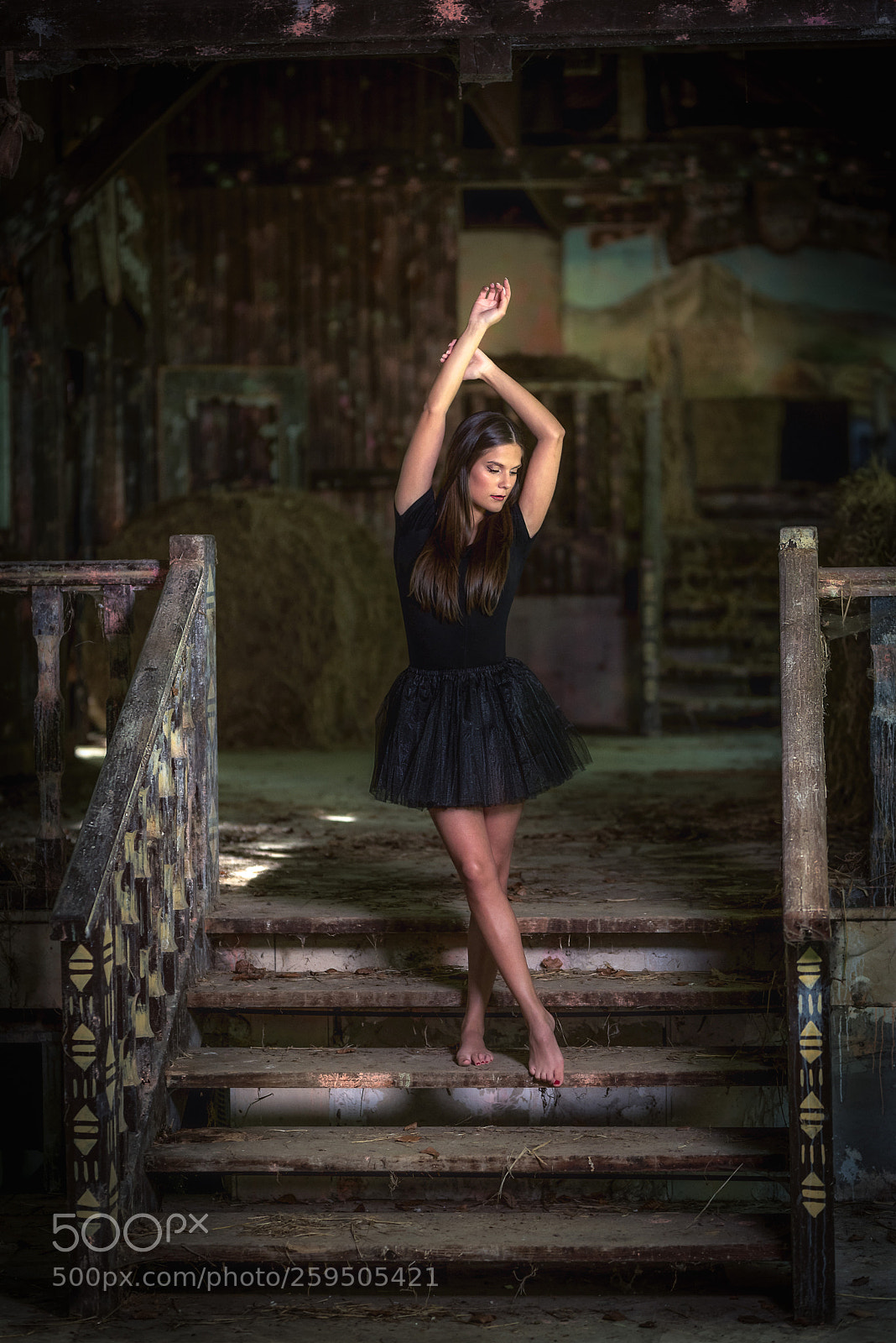 Nikon D750 sample photo. Ballerina photography