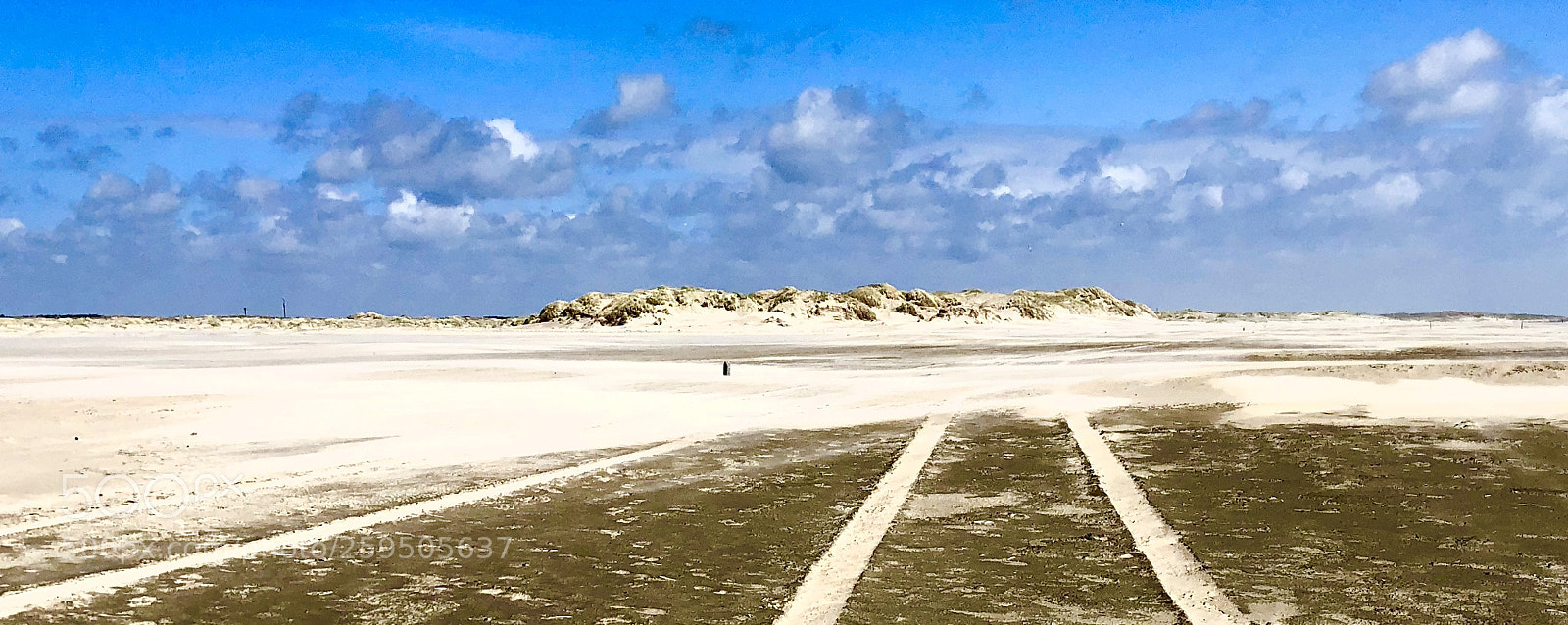 Apple iPhone 8 sample photo. Big dune on texel photography