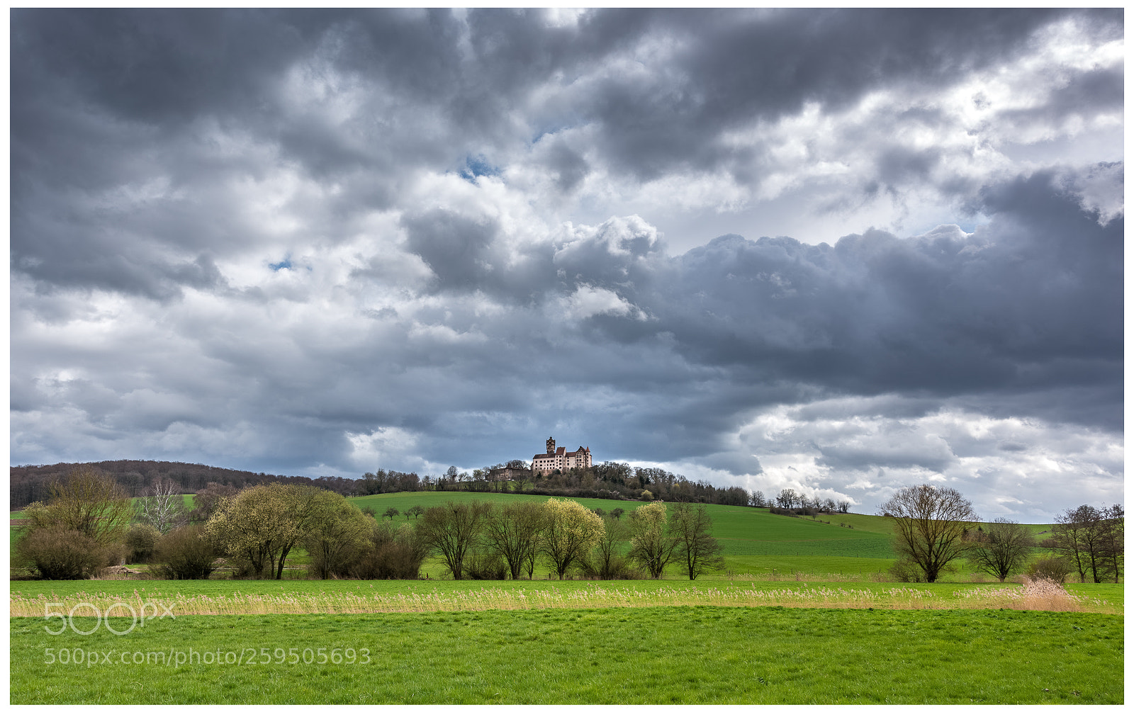 Nikon D810 sample photo. Ronneburg photography