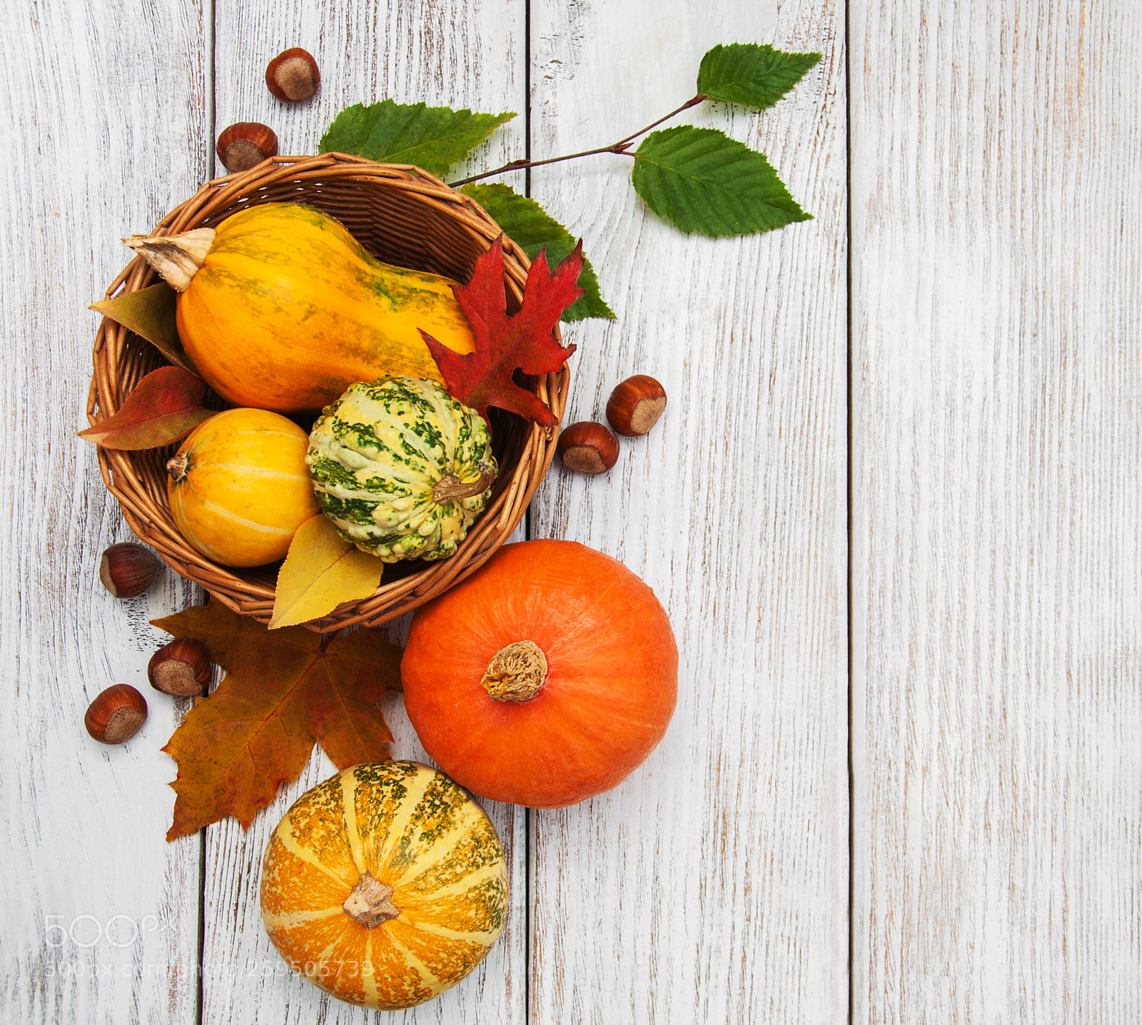 Nikon D90 sample photo. Pumpkin and leaves photography