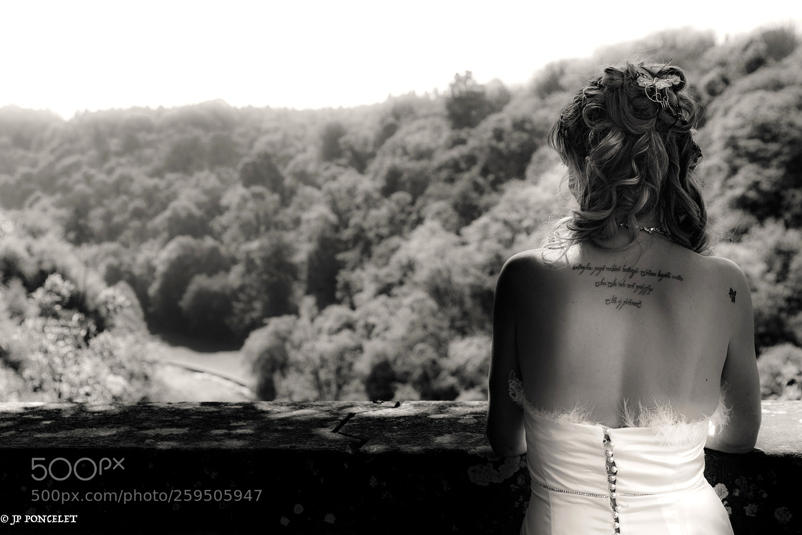 Nikon D750 sample photo. Untitled photography