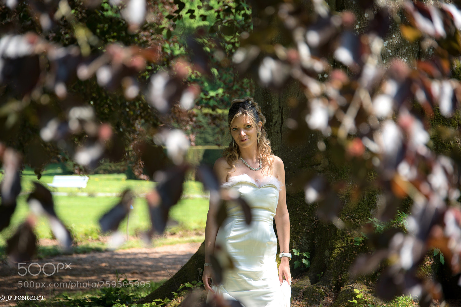 Nikon D750 sample photo. Untitled photography