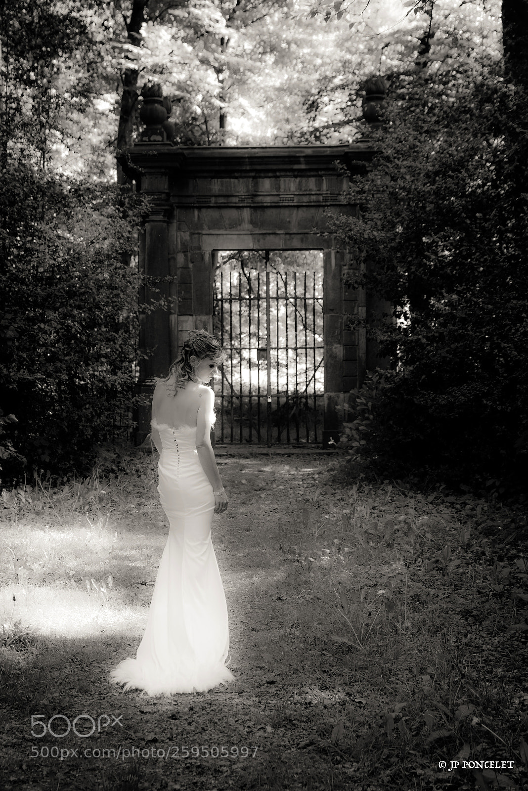 Nikon D750 sample photo. Untitled photography
