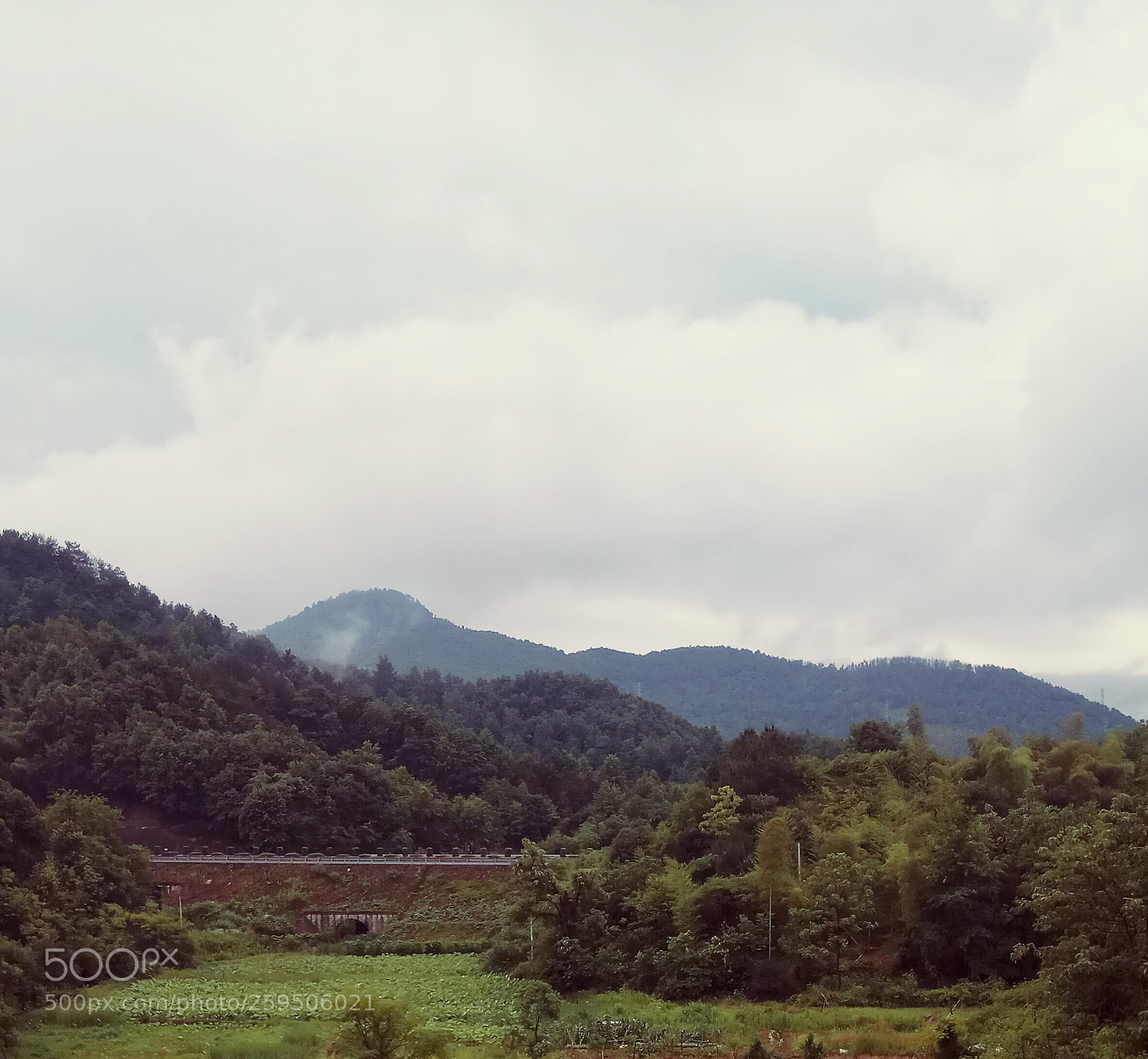 Xiaomi Redmi Note 4 sample photo. Untitled photography