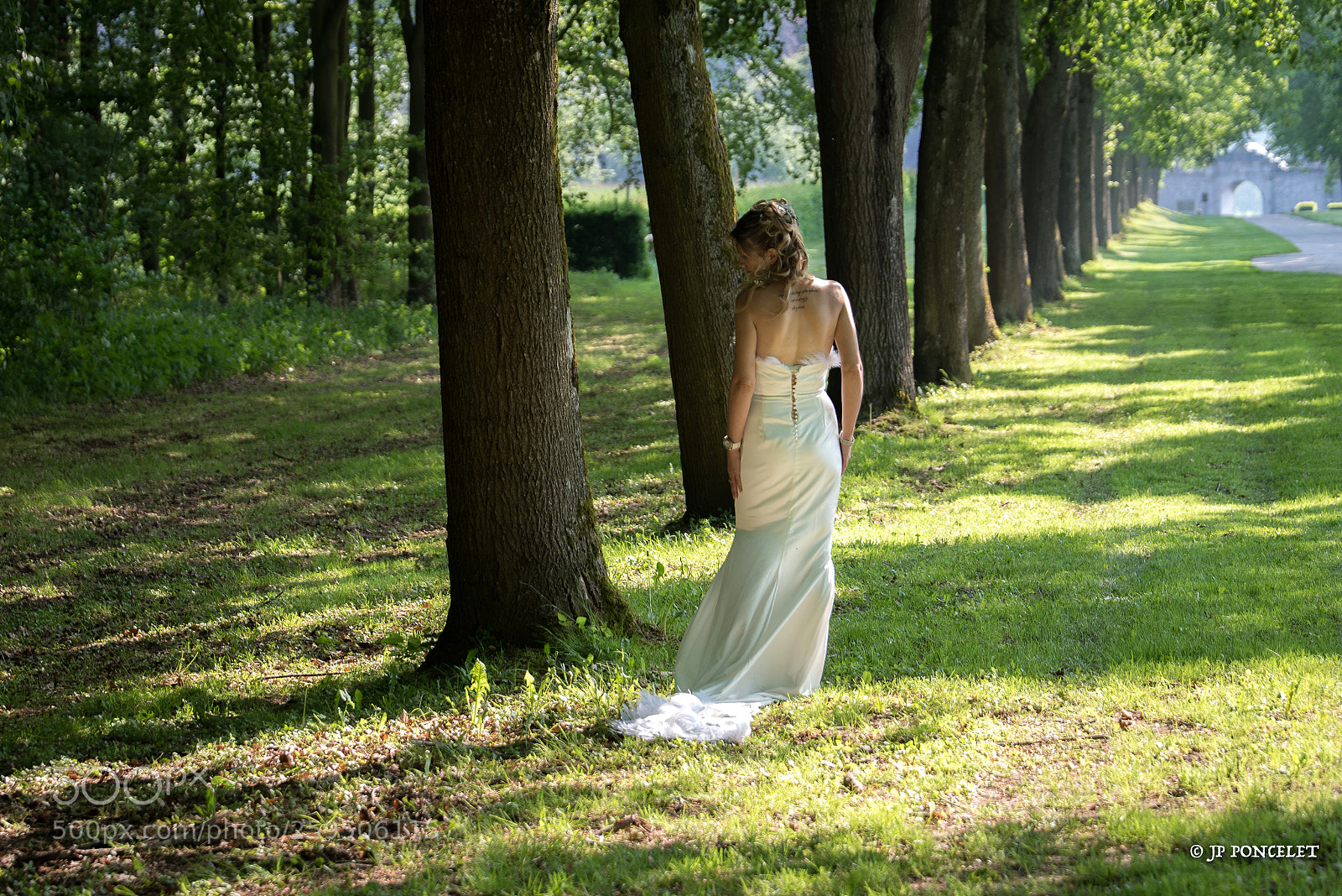 Nikon D750 sample photo. Untitled photography