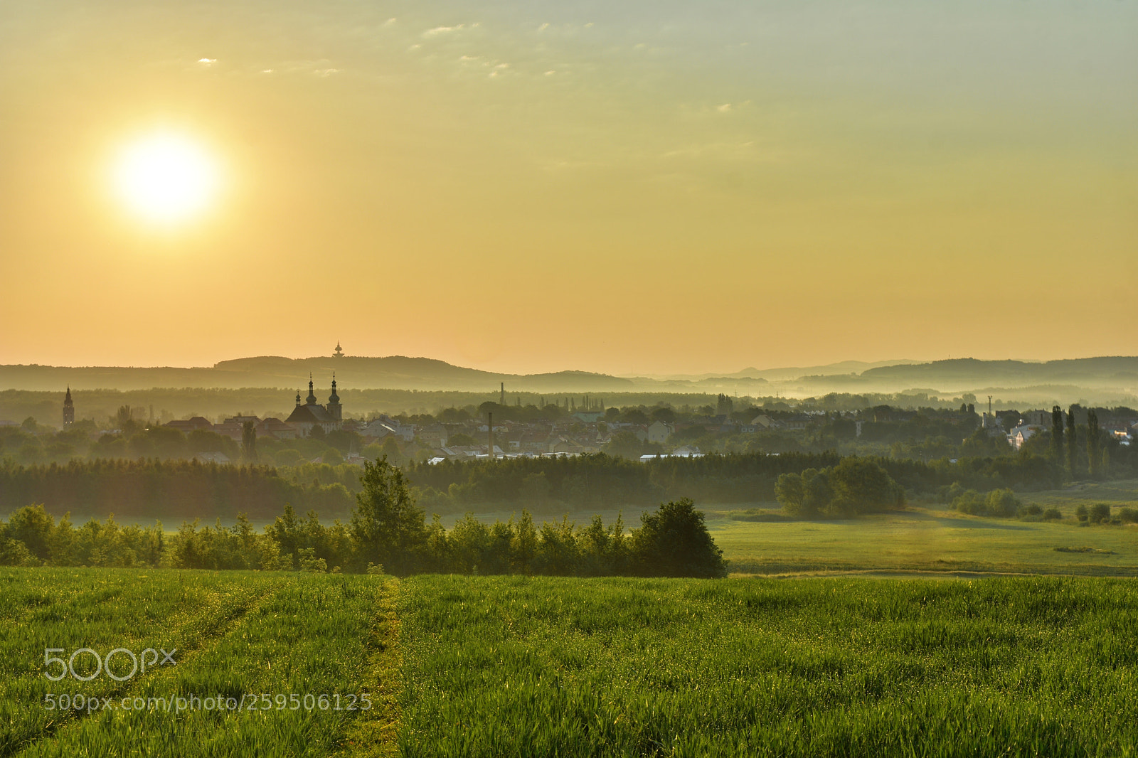 Nikon D3400 sample photo. Golden sunrise photography