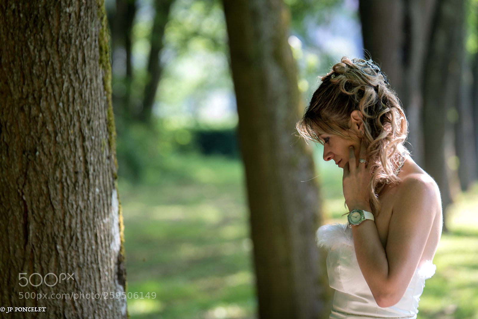 Nikon D750 sample photo. Untitled photography