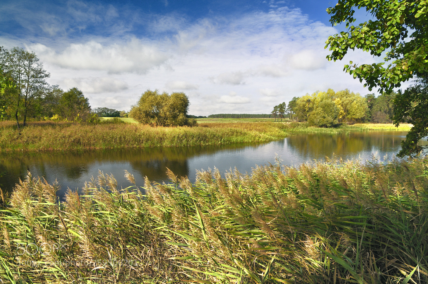 Nikon D300 sample photo. On the pond photography