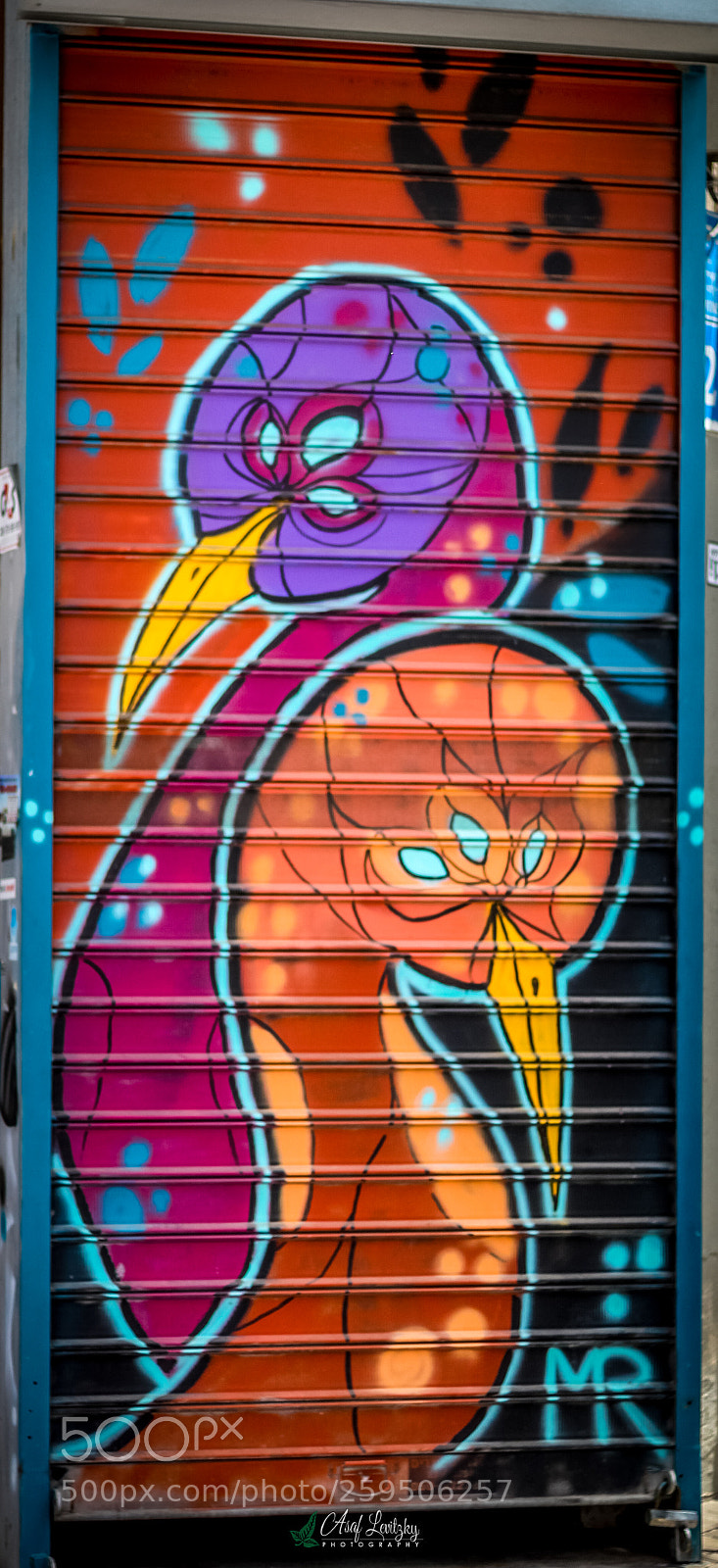 Canon EOS 1300D (EOS Rebel T6 / EOS Kiss X80) sample photo. Bitemojo florentin photography