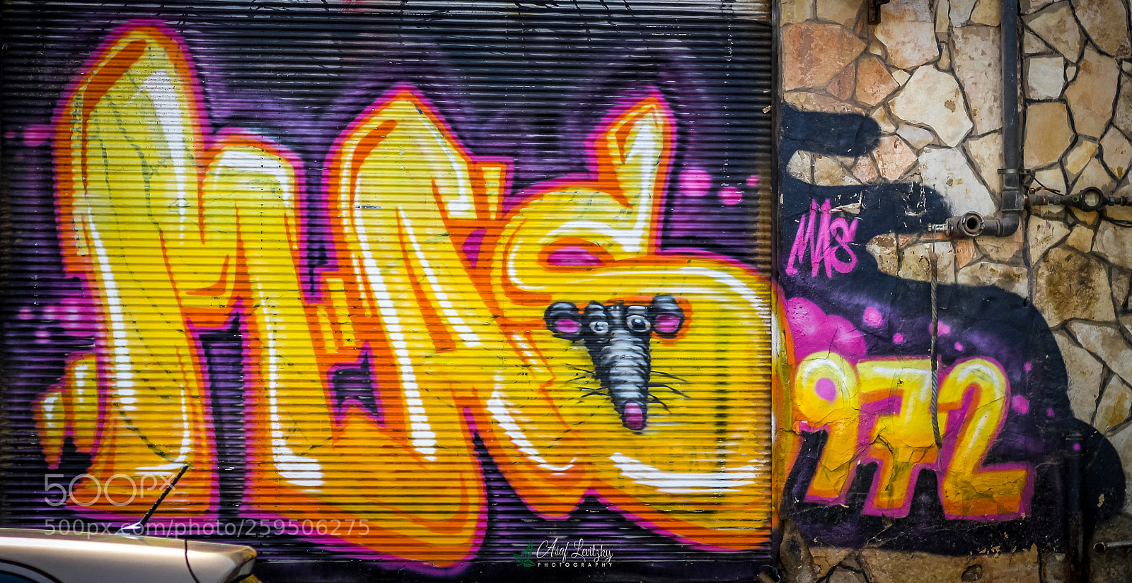 Canon EOS 1300D (EOS Rebel T6 / EOS Kiss X80) sample photo. Bitemojo florentin photography