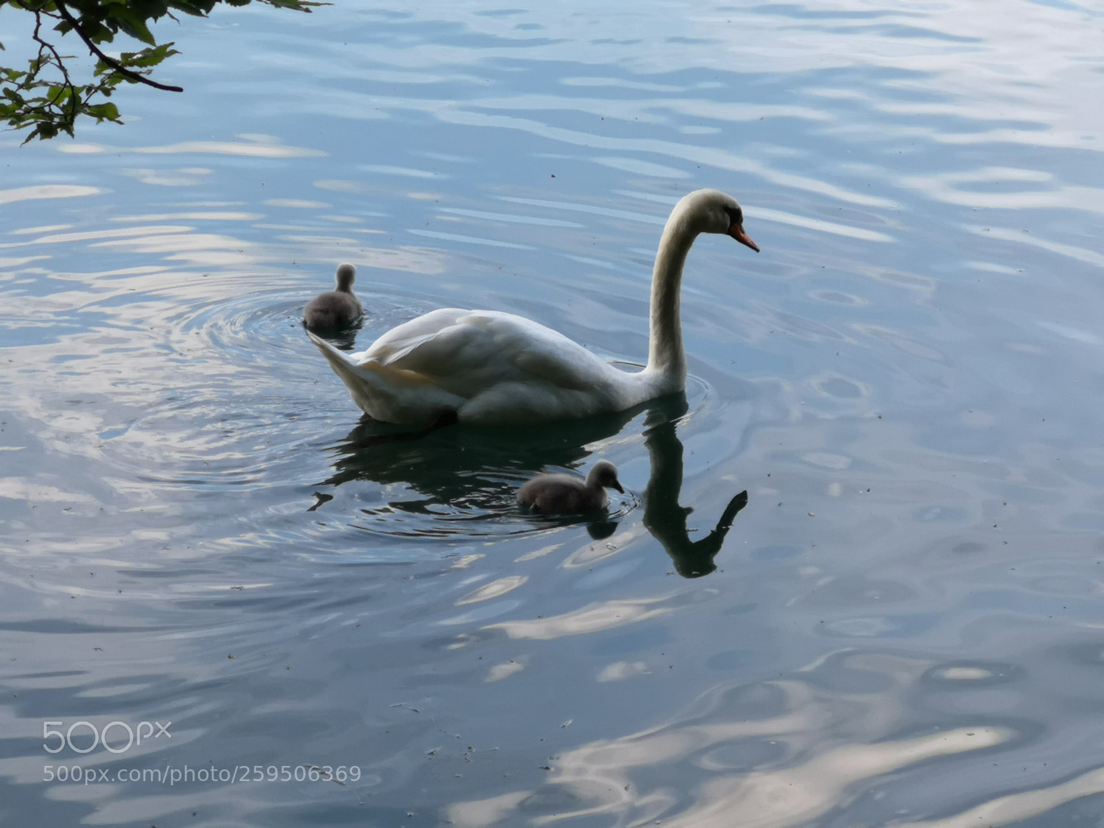 HUAWEI CLT-L29 sample photo. Family on way photography