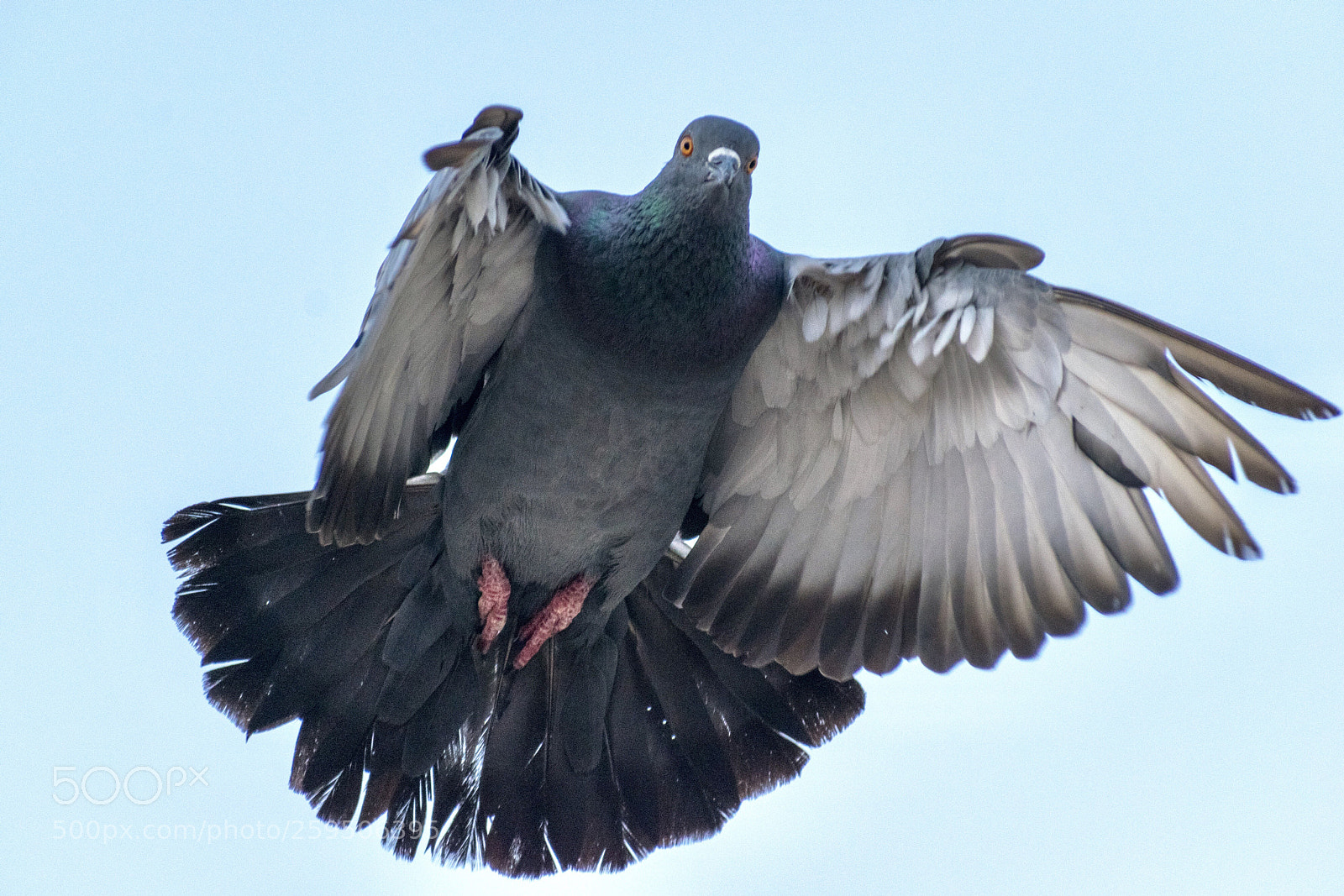Nikon D5300 sample photo. From the heavens !!!! photography