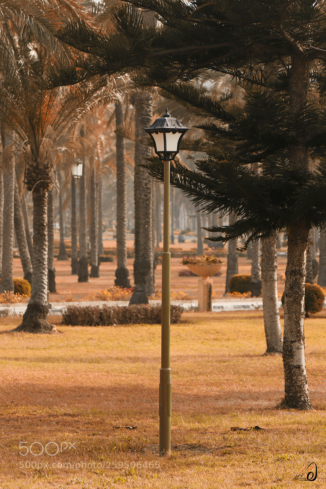 Canon EOS 70D sample photo. Untitled photography