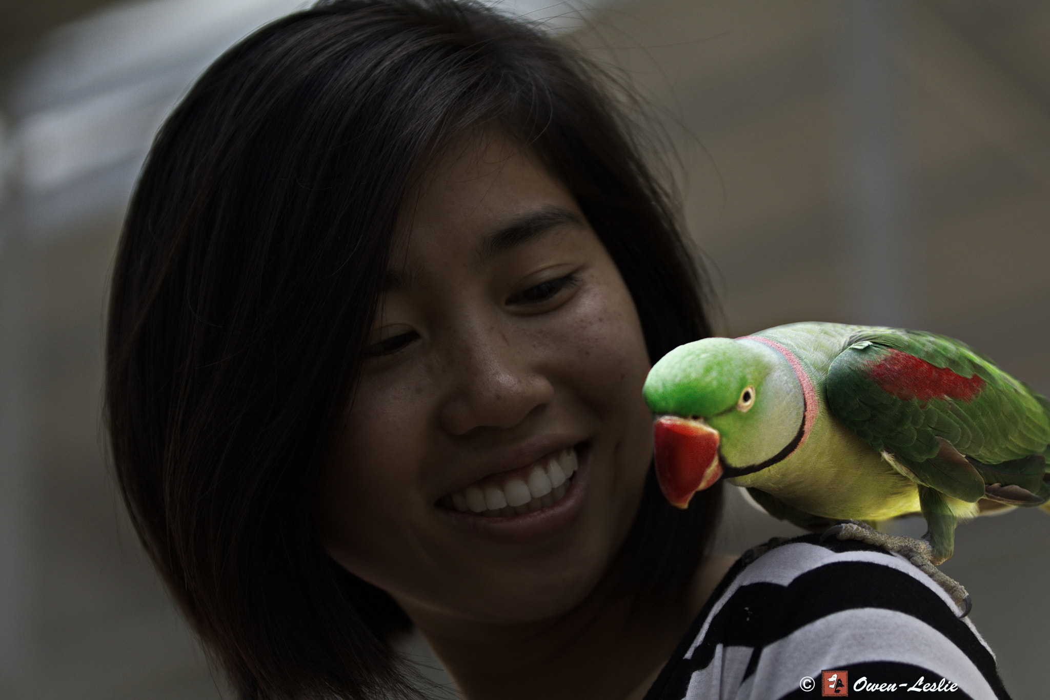 Canon EOS 80D sample photo. Birds with people photography