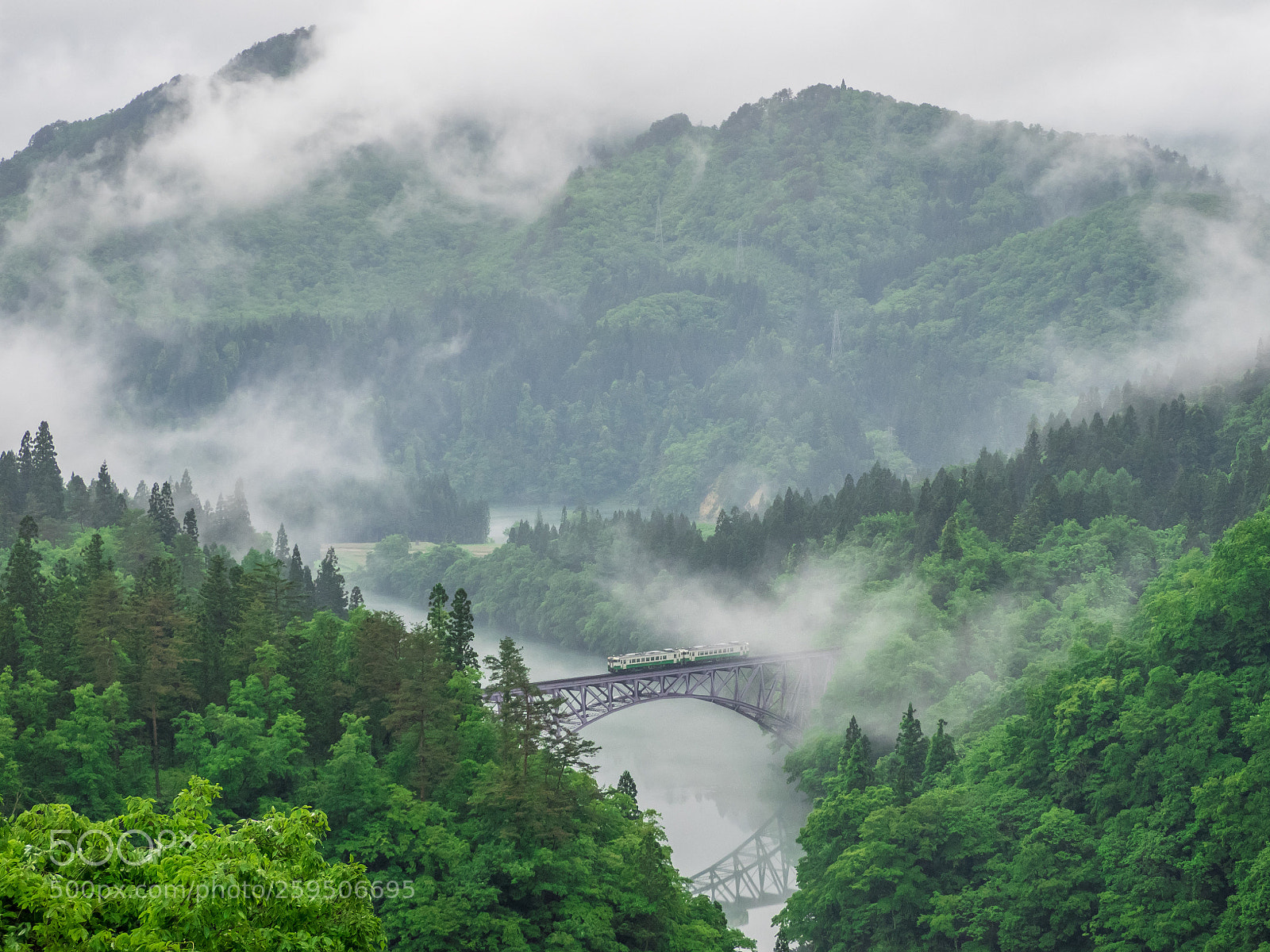 Olympus OM-D E-M1 sample photo. Morning mist photography