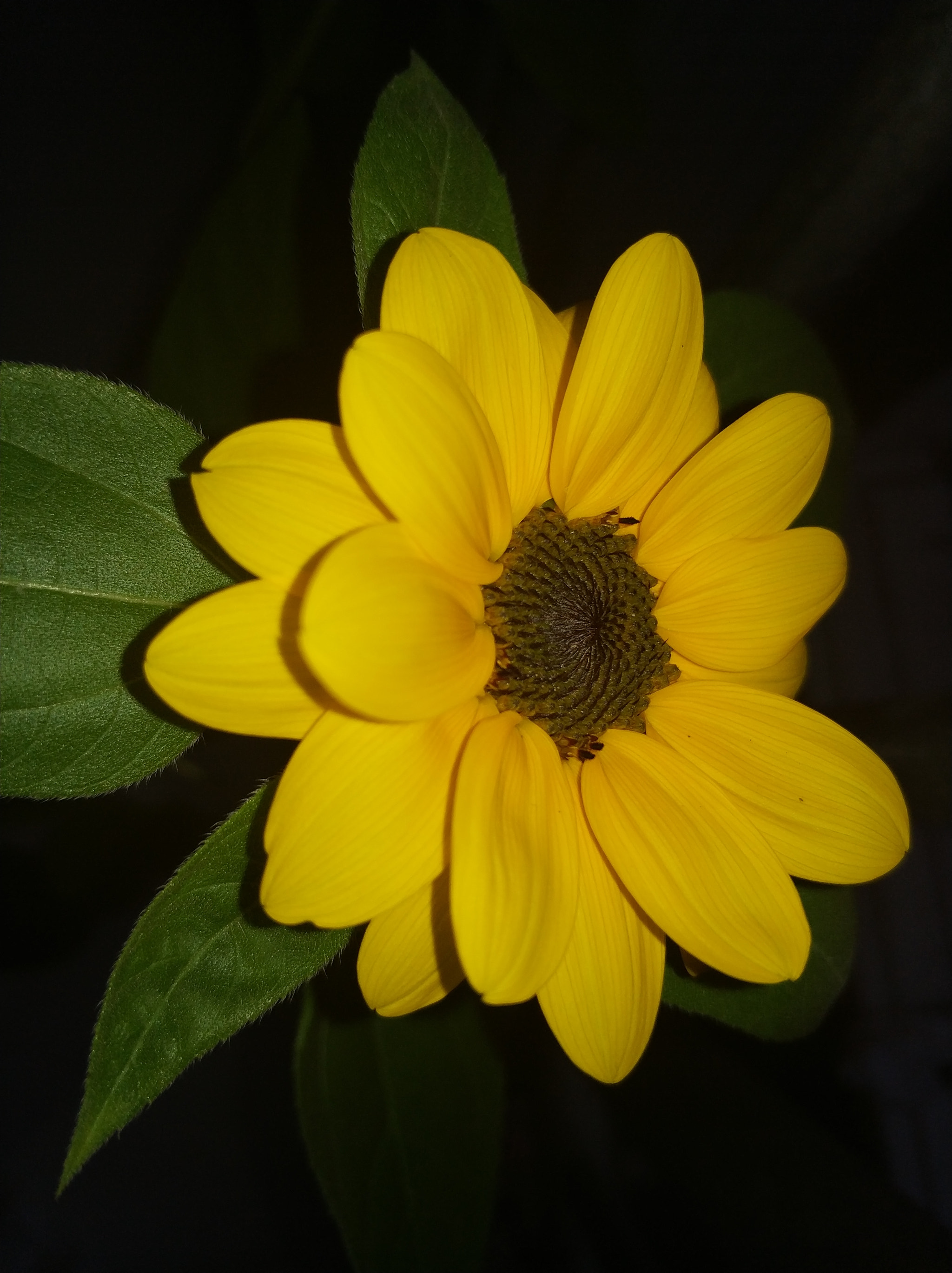 Xiaomi Mi Note 3 sample photo