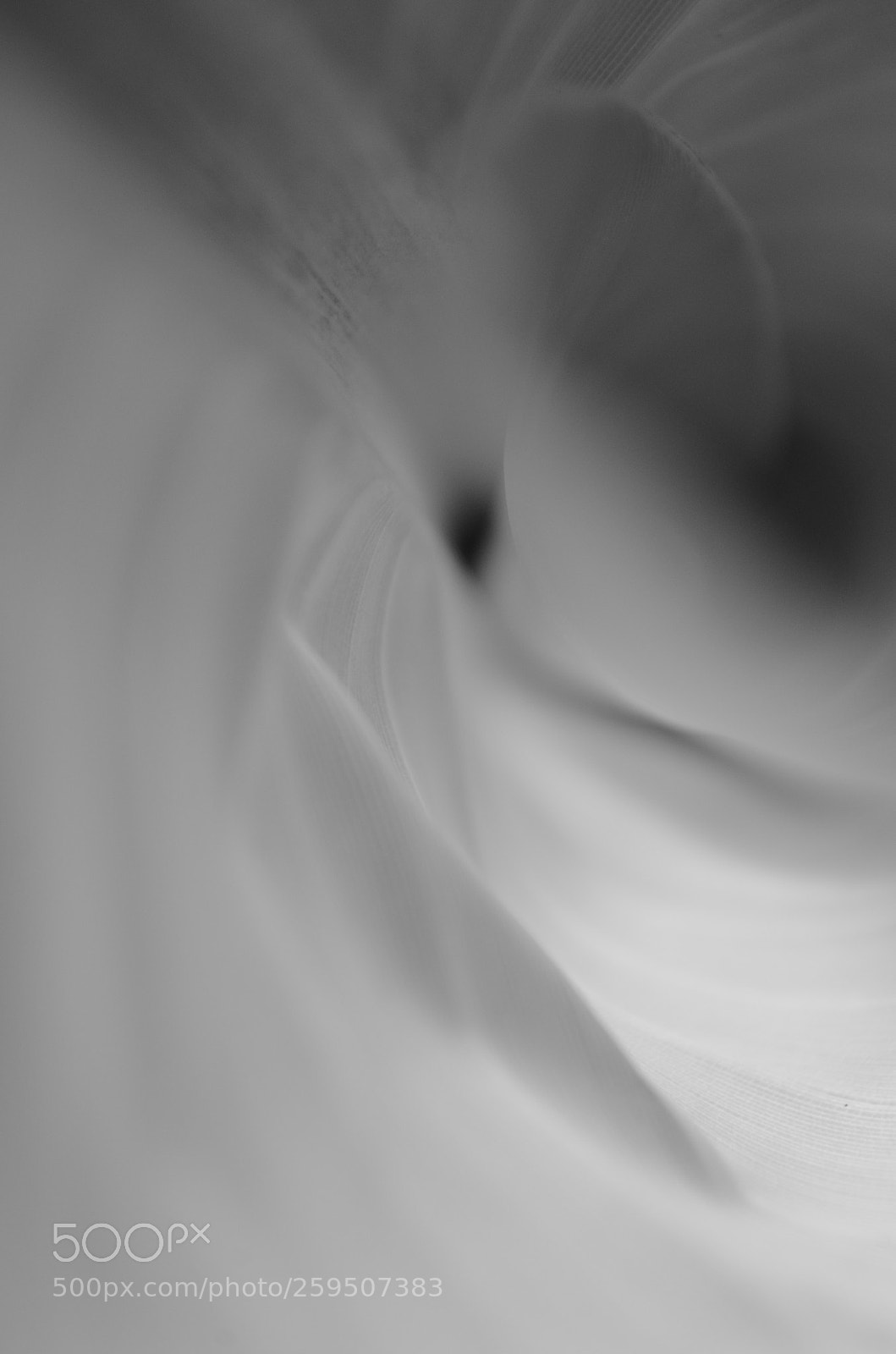 Nikon D5100 sample photo. Swaying shades of grey photography