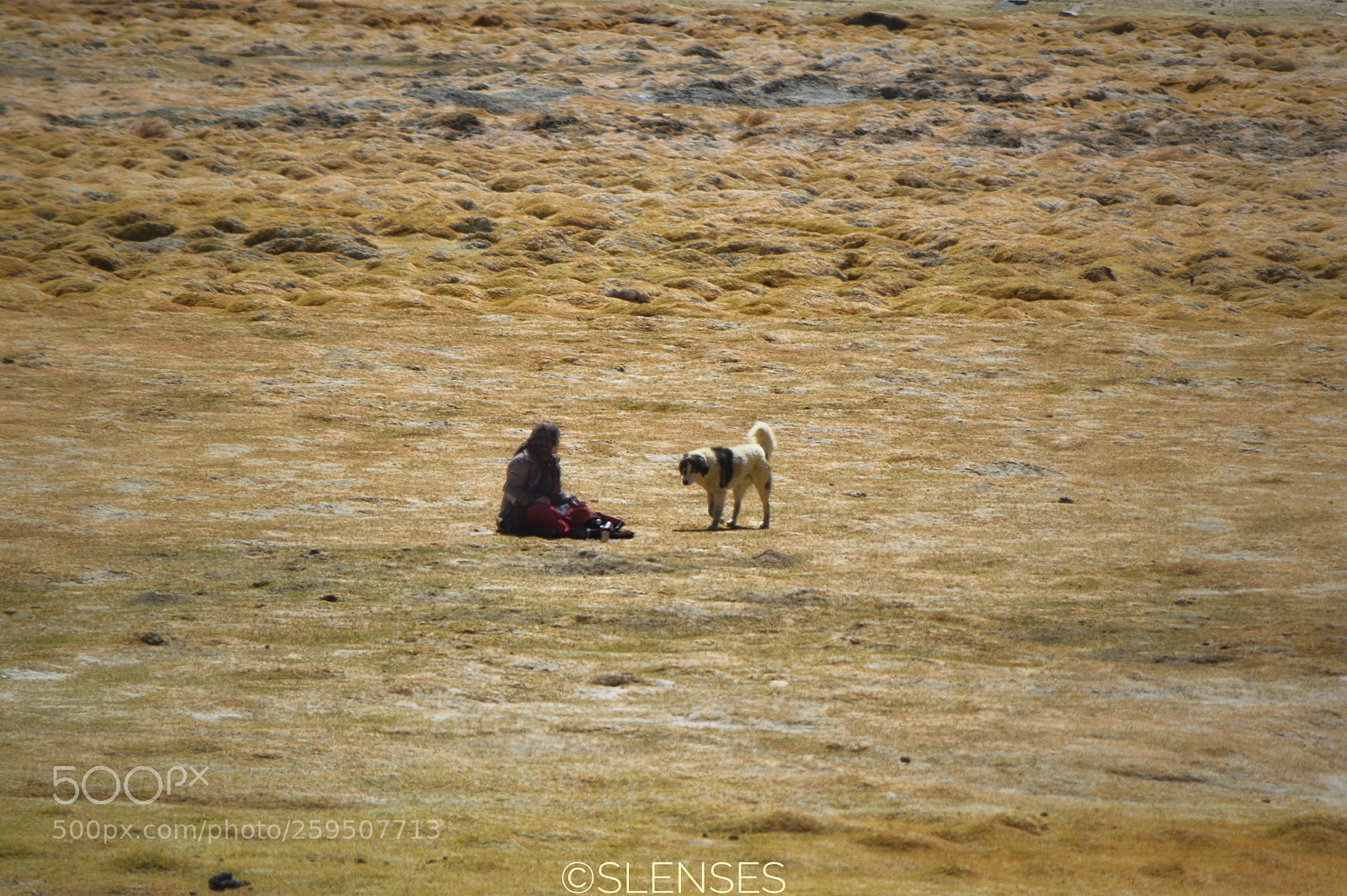 Nikon D3200 sample photo. #thegoodshepherd photography