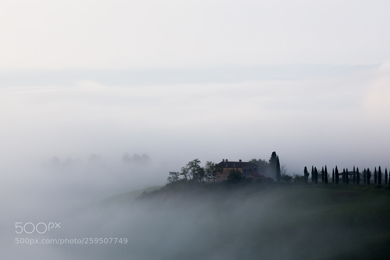 Canon EOS 5D Mark II sample photo. Misty foggy photography