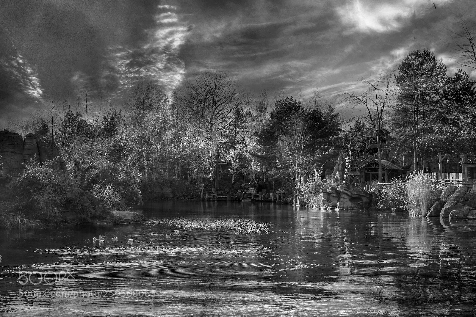 Canon EOS 550D (EOS Rebel T2i / EOS Kiss X4) sample photo. Lakeside b&w photography