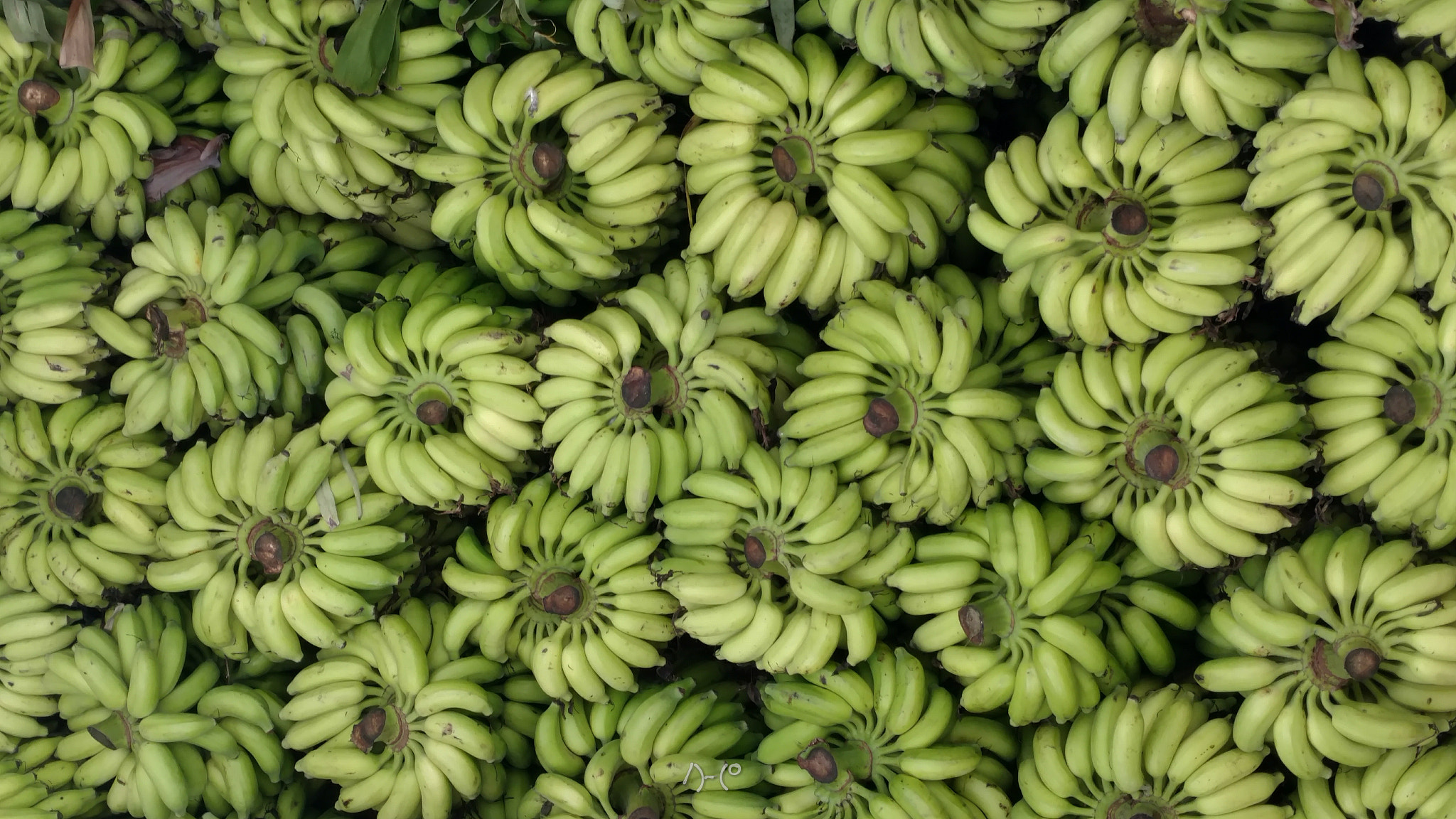 Motorola Moto X Style sample photo. Bananas photography