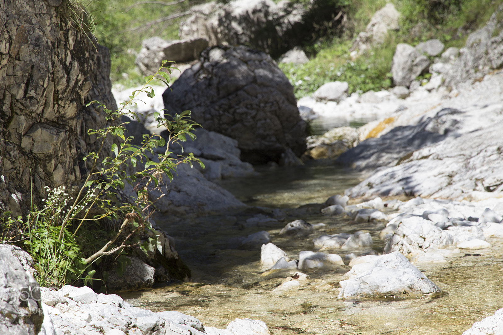 Canon EOS 600D (Rebel EOS T3i / EOS Kiss X5) sample photo. By the stream photography