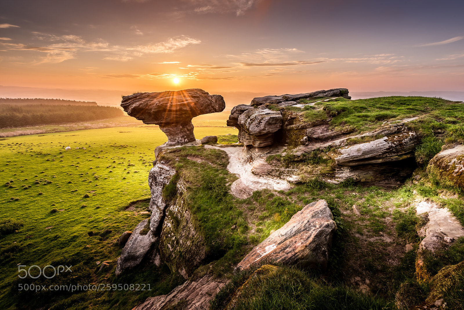 Nikon D810 sample photo. Bunnet stane photography