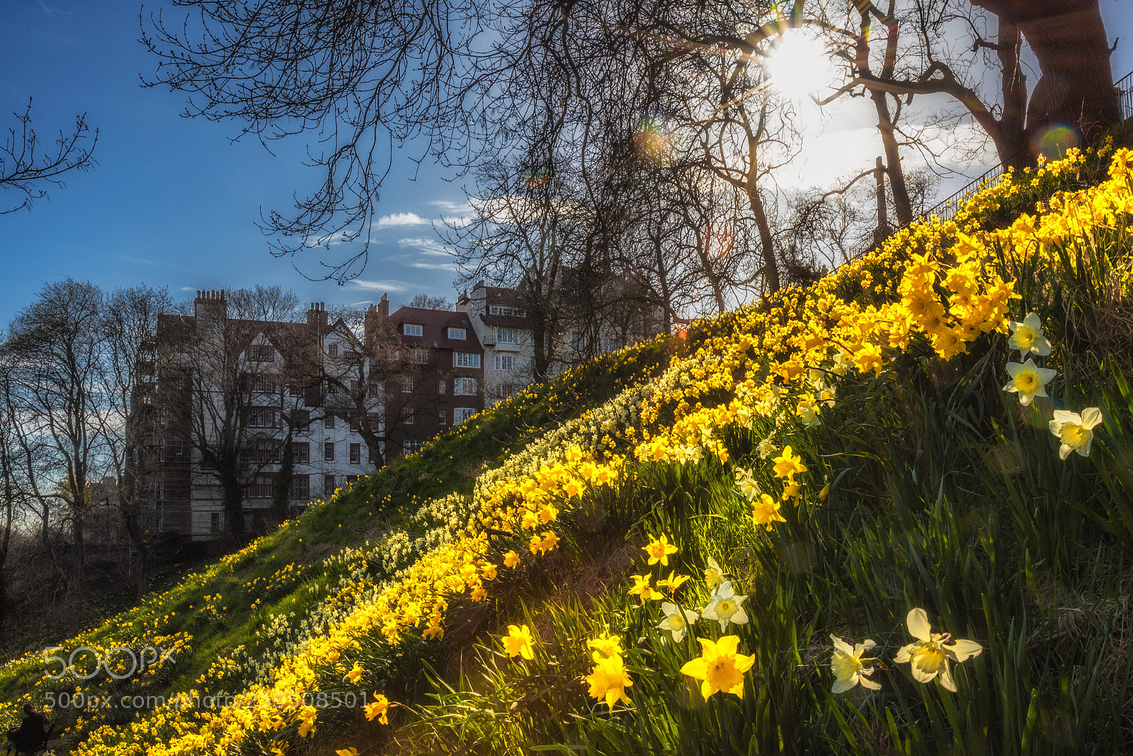 Nikon D750 sample photo. Ramsay gardens photography