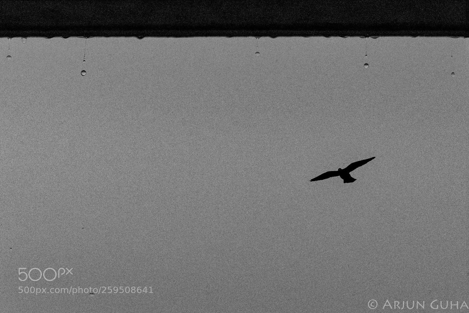 Nikon D750 sample photo. Monsoon arriving photography