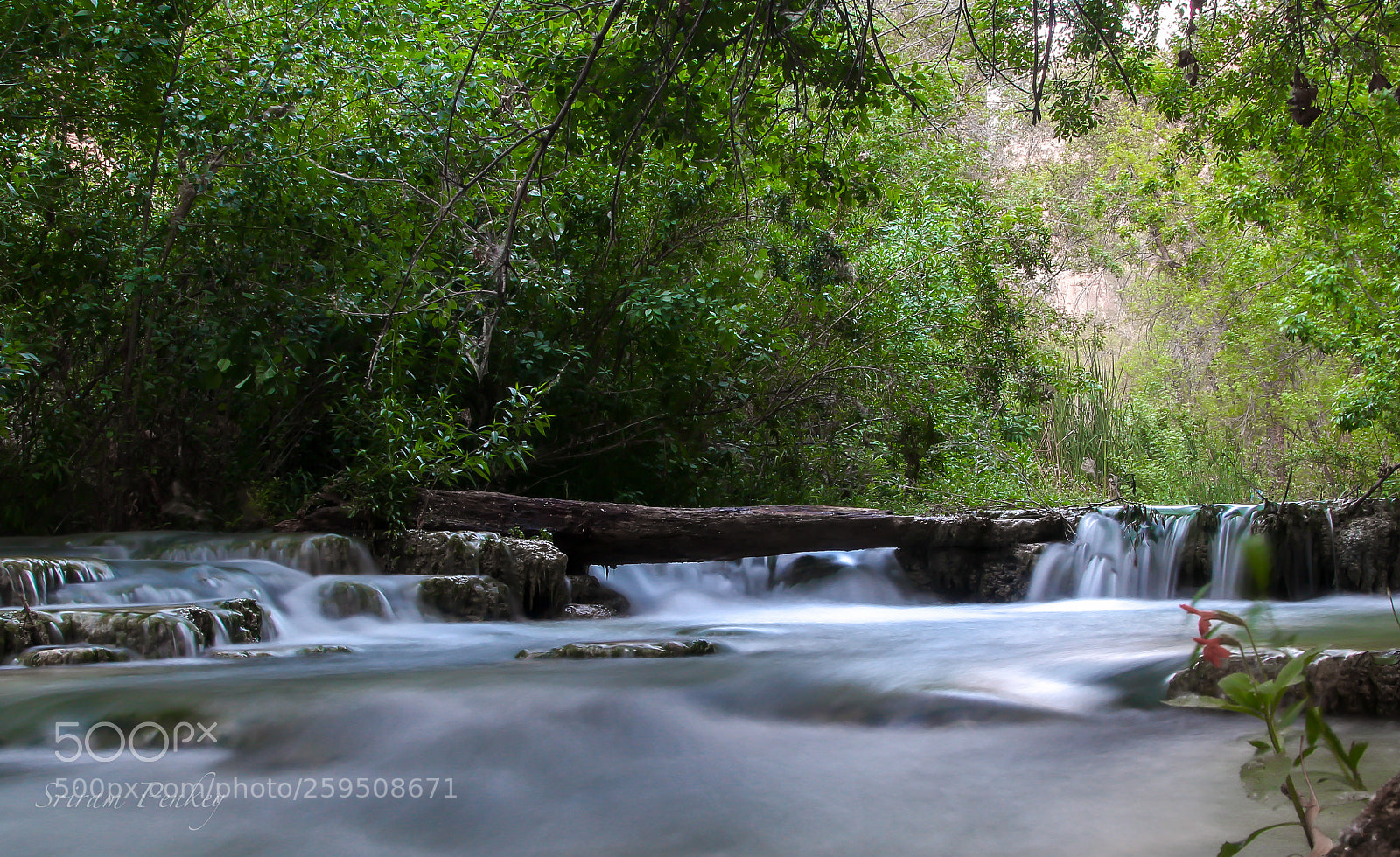 Canon EOS 700D (EOS Rebel T5i / EOS Kiss X7i) sample photo. A small stream photography