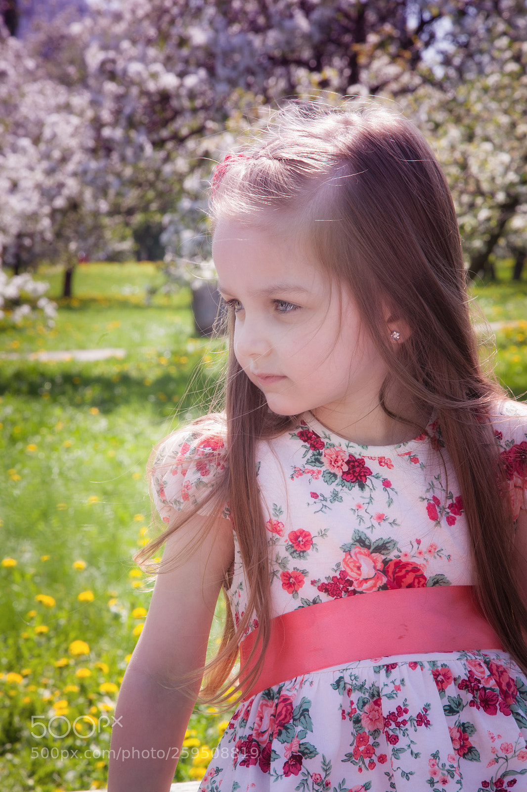 Canon EOS 5D Mark II sample photo. Img photography
