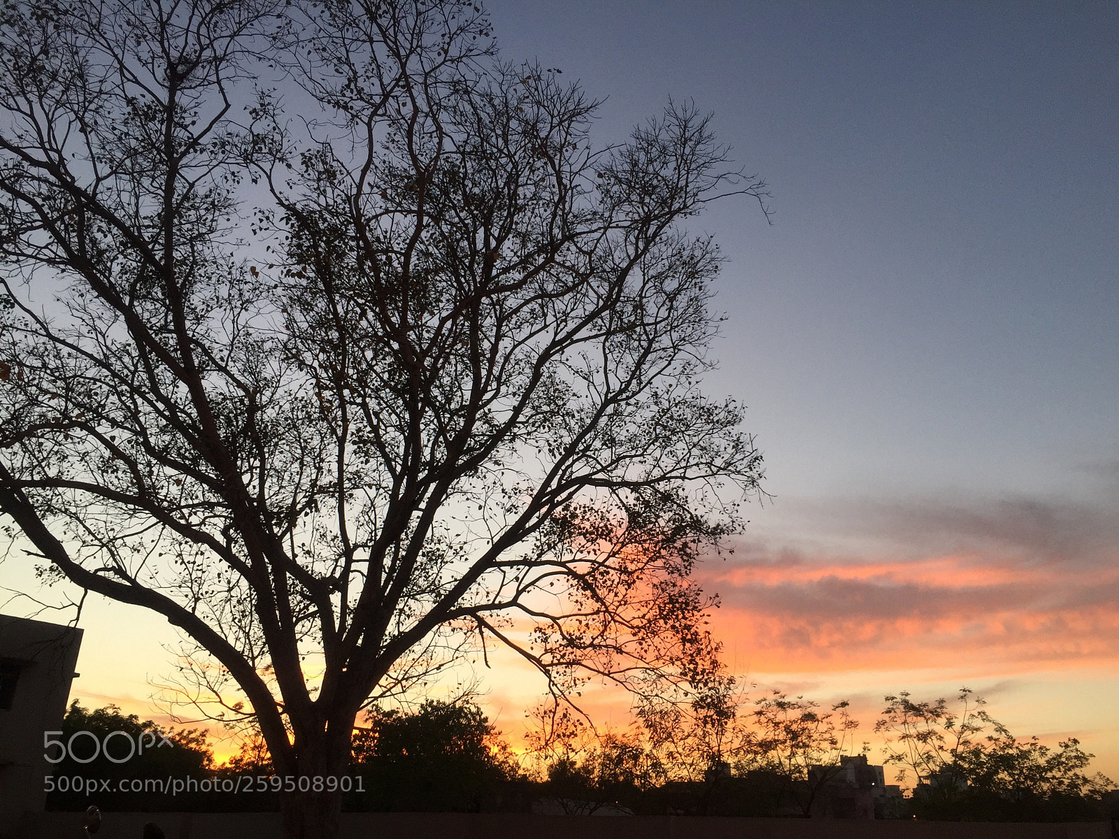Apple iPhone 6 sample photo. Evening view 
 photography