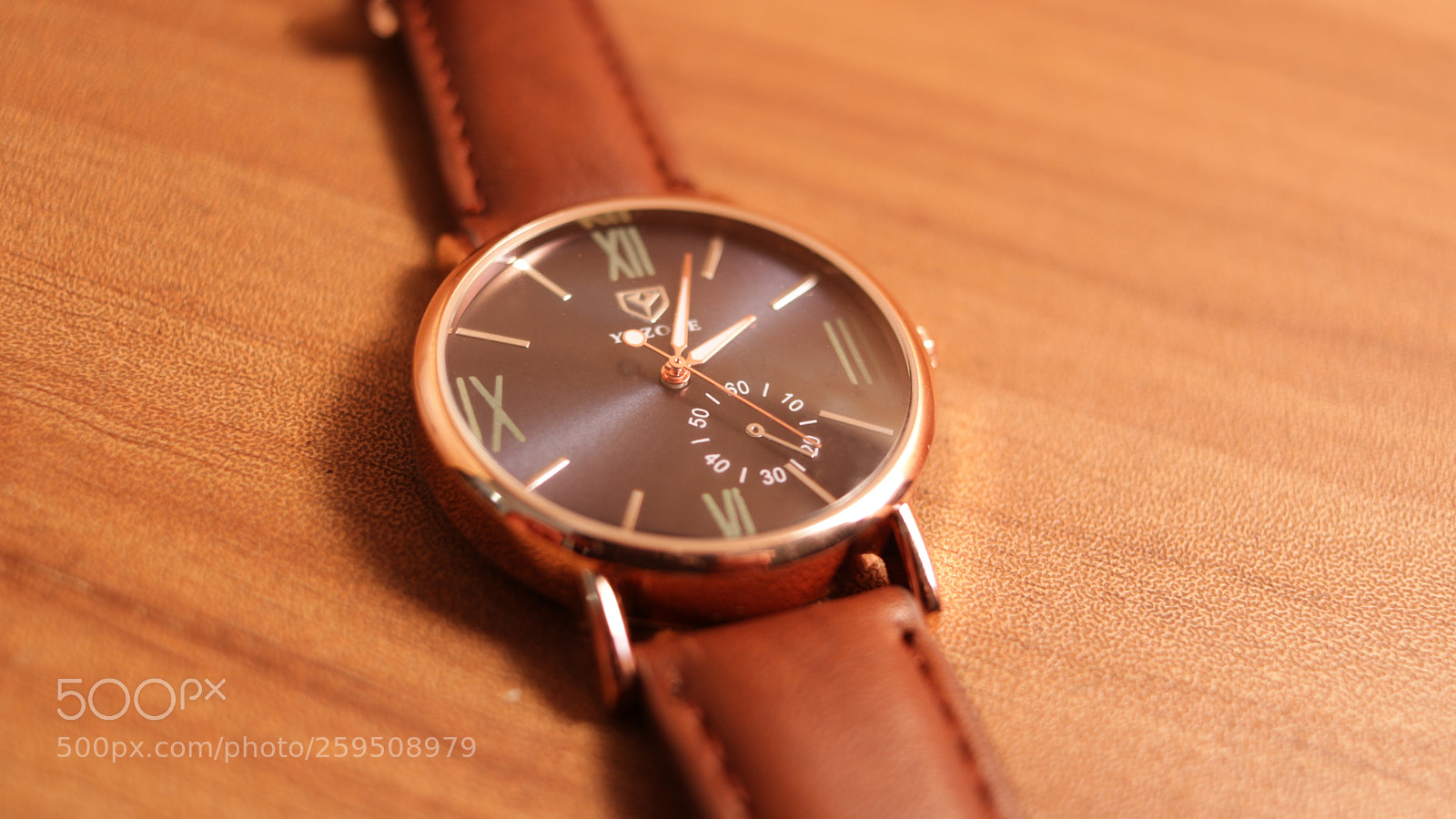 Canon EOS 750D (EOS Rebel T6i / EOS Kiss X8i) sample photo. Yazole watch photography