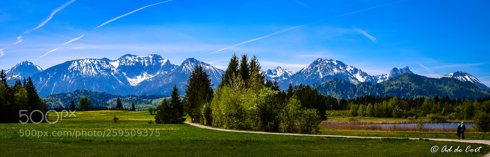 Nikon D5300 sample photo. Follow the path of photography