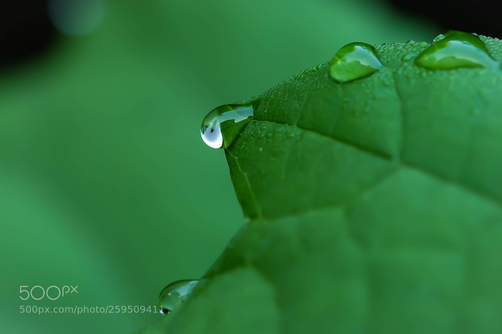 Fujifilm X-T1 sample photo. Water photography